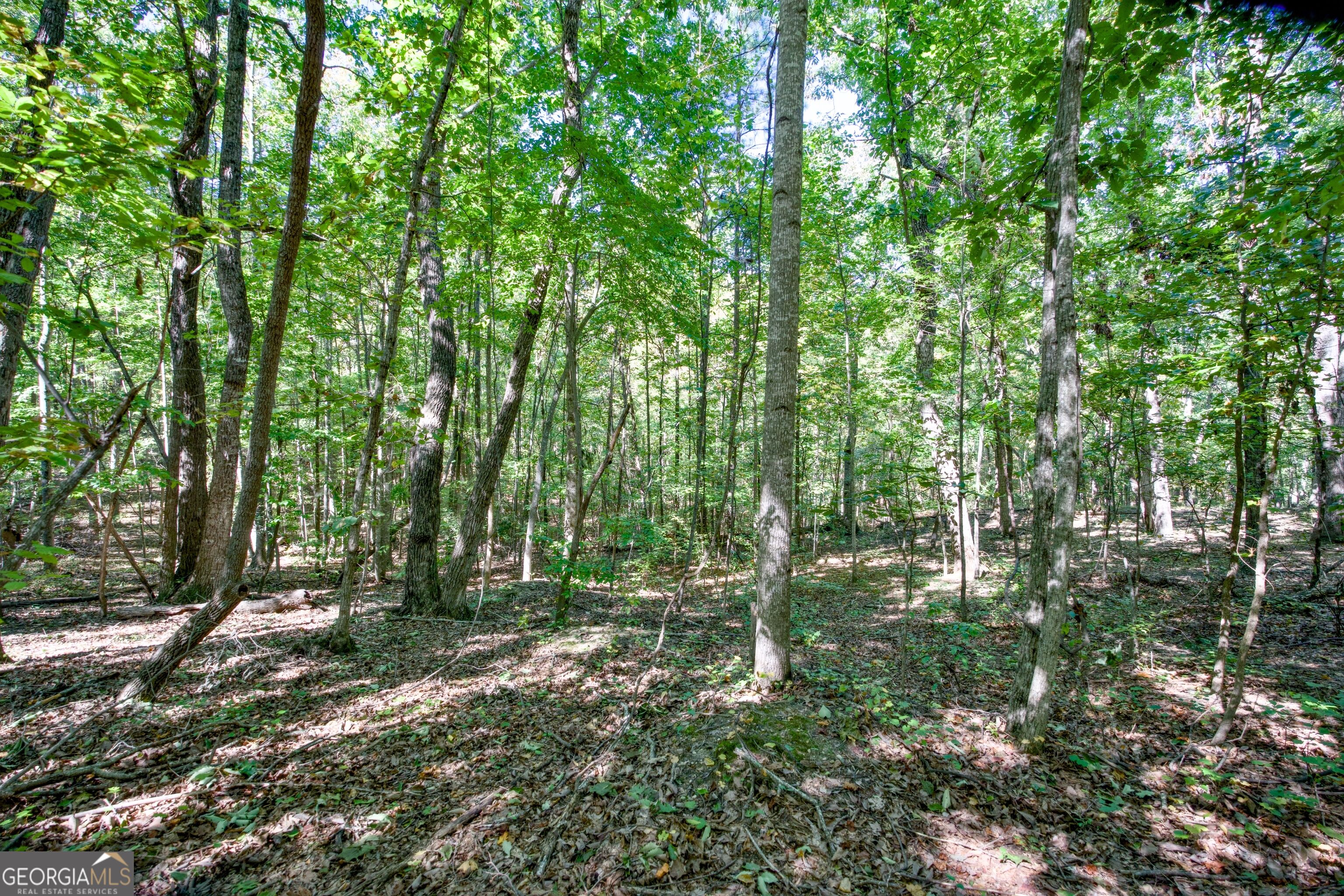 52 Ac Soapstone Road Baldwin GA 30511