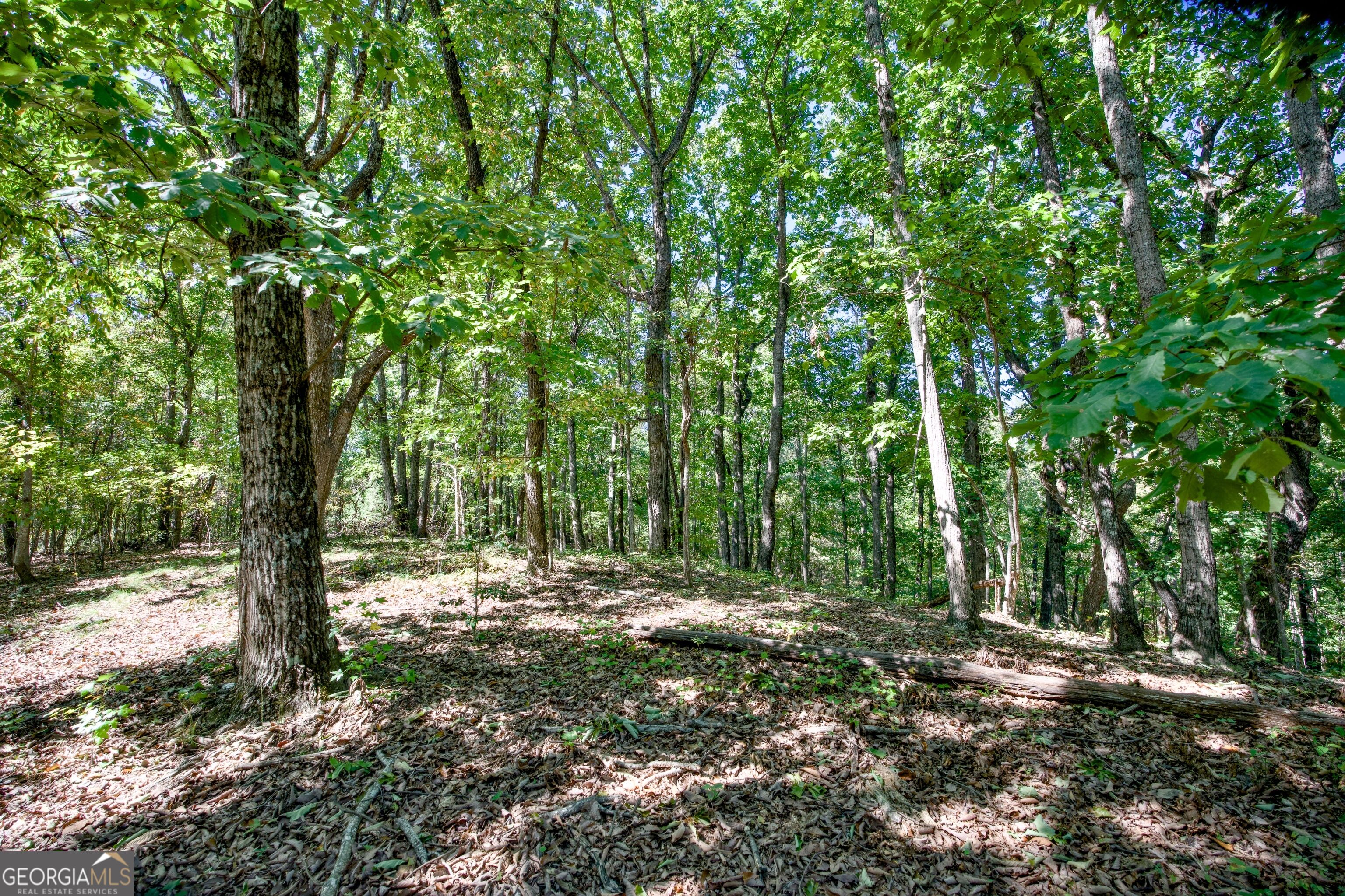 52 Ac Soapstone Road Baldwin GA 30511