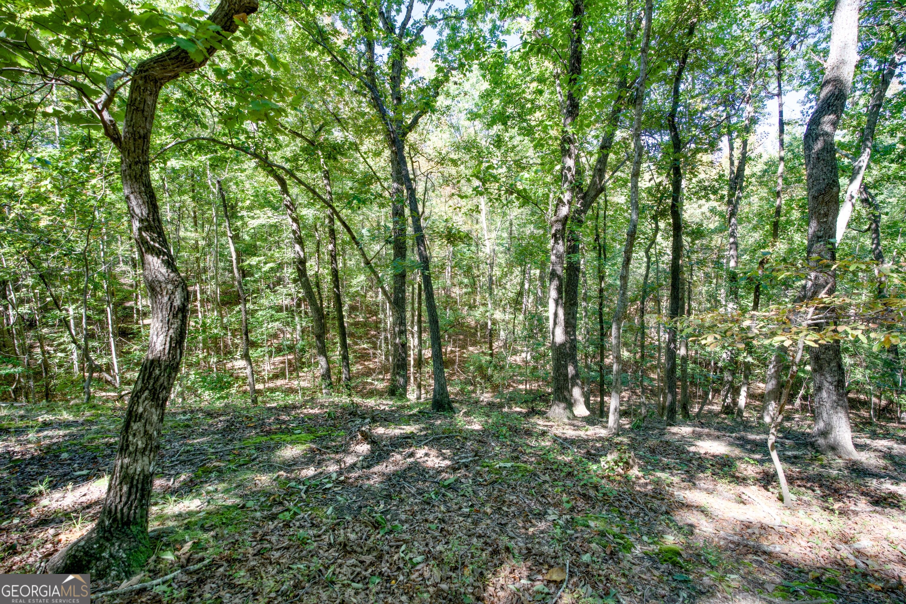 52 Ac Soapstone Road Baldwin GA 30511