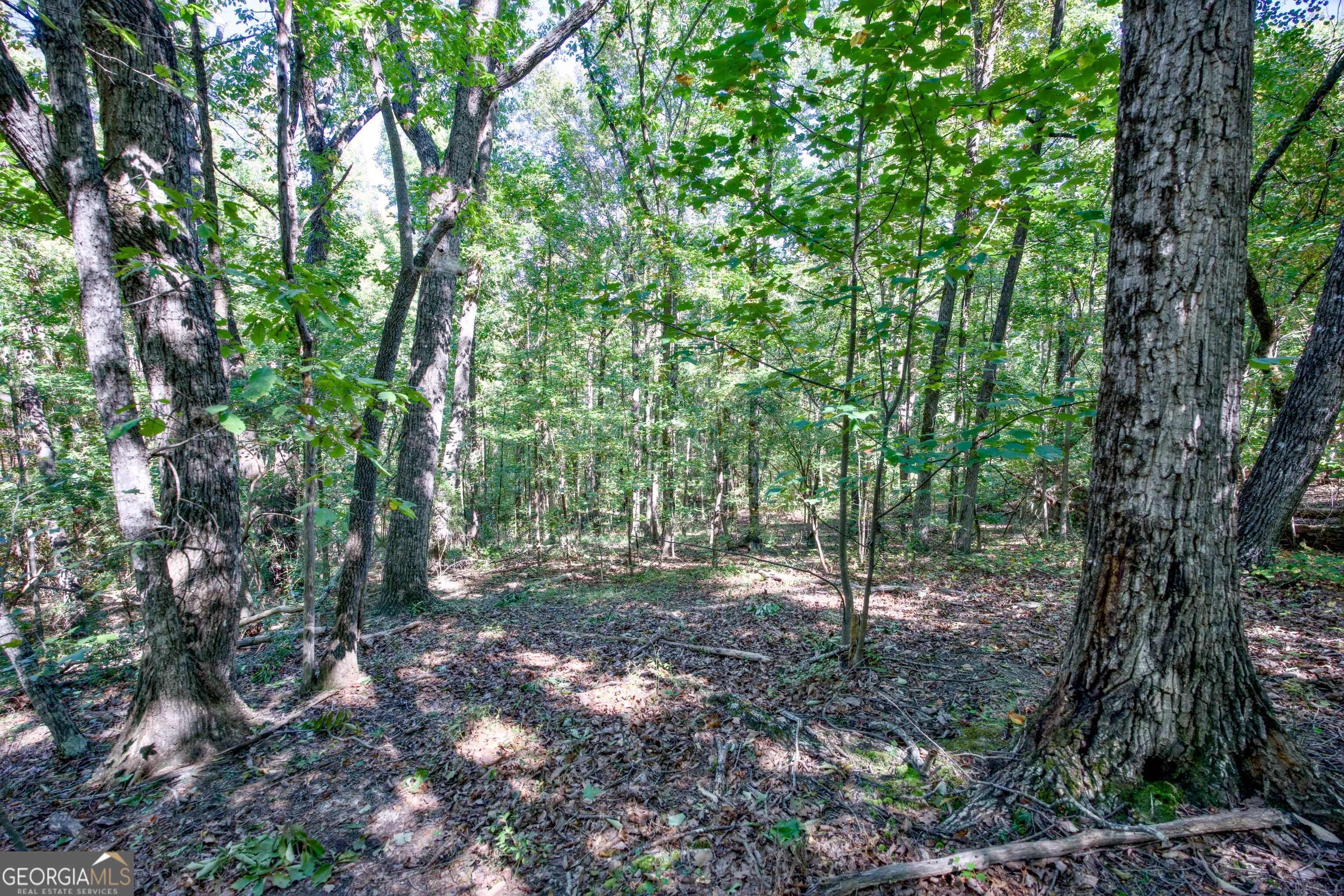 52 Ac Soapstone Road Baldwin GA 30511