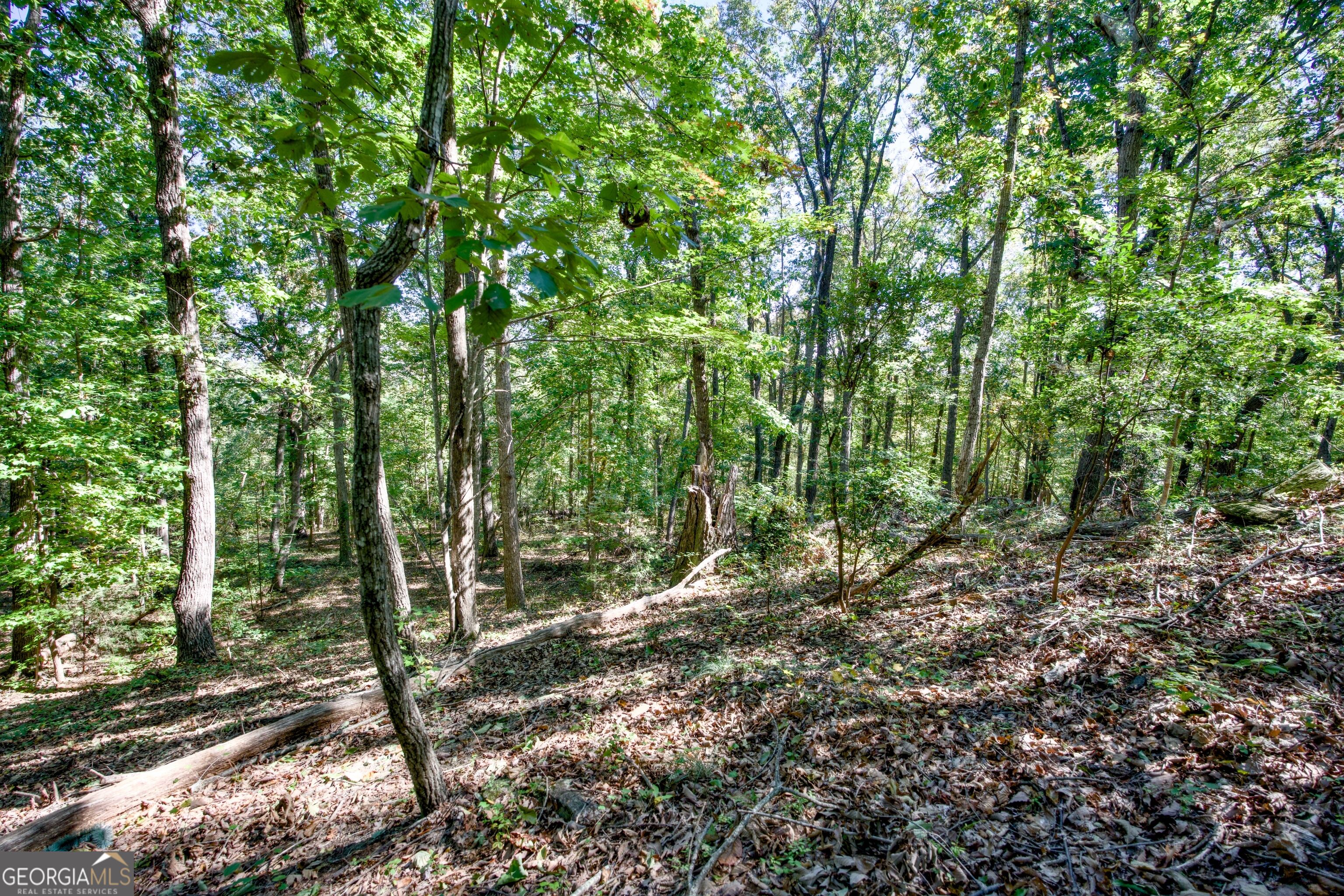 52 Ac Soapstone Road Baldwin GA 30511