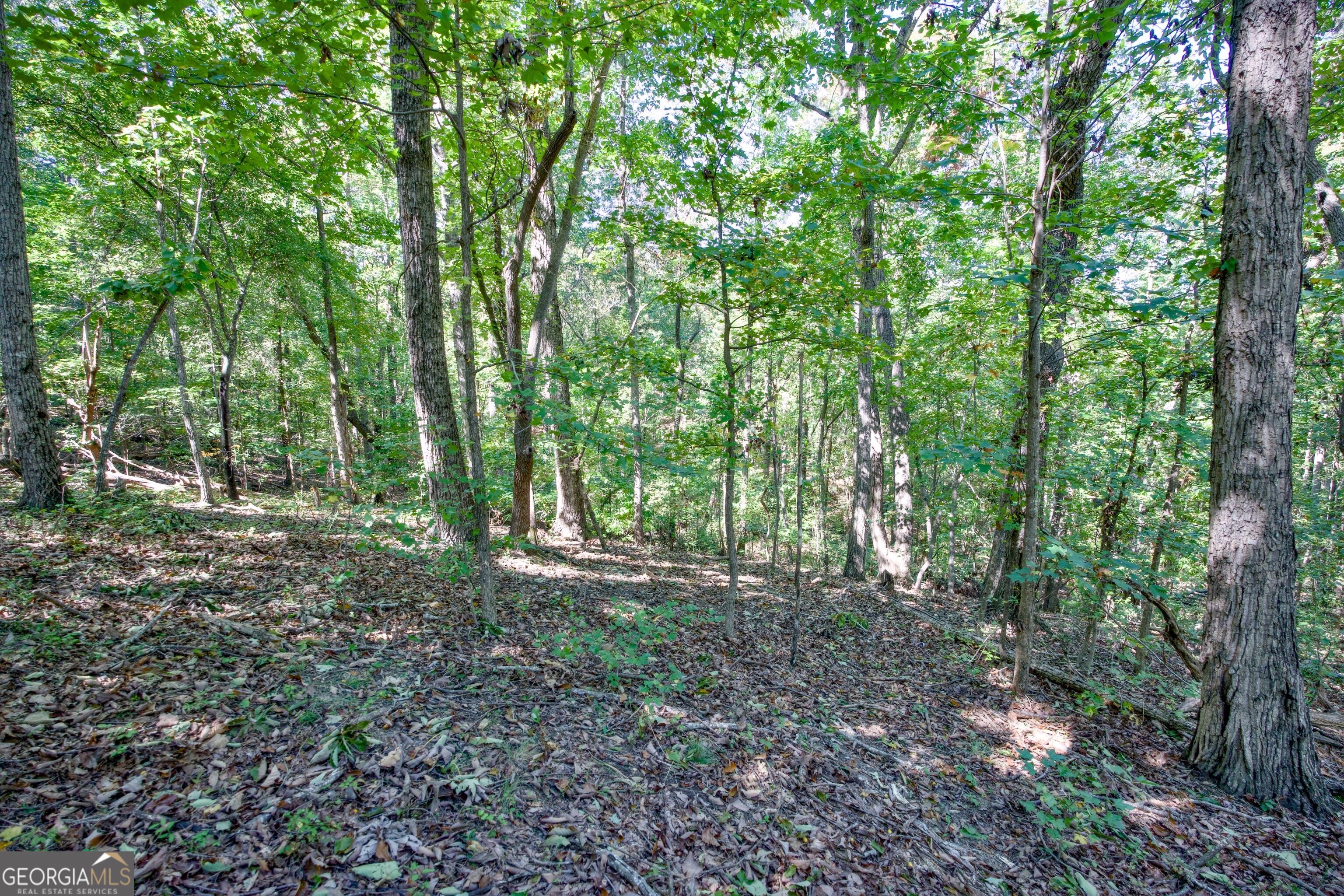 52 Ac Soapstone Road Baldwin GA 30511