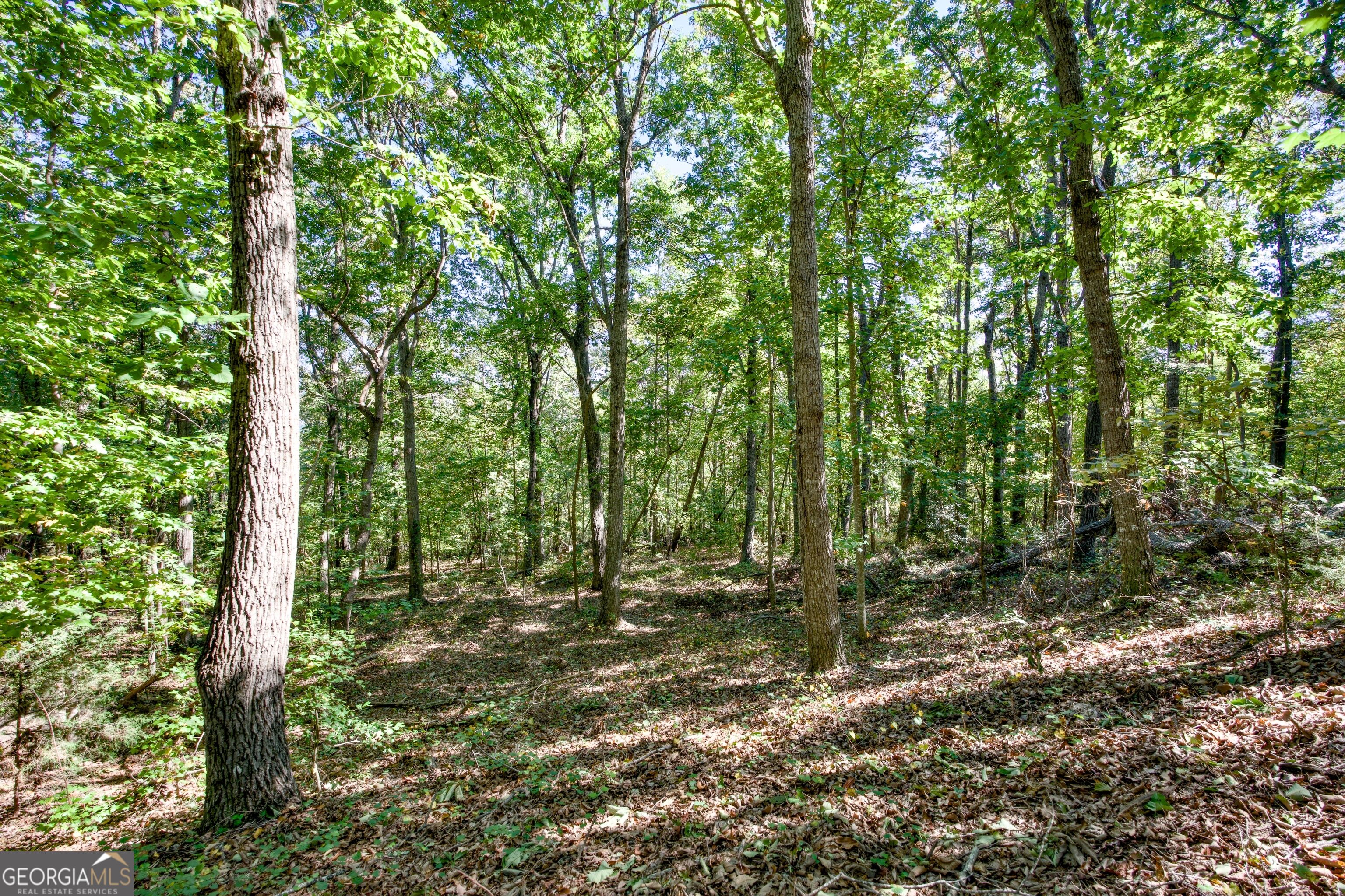 52 Ac Soapstone Road Baldwin GA 30511