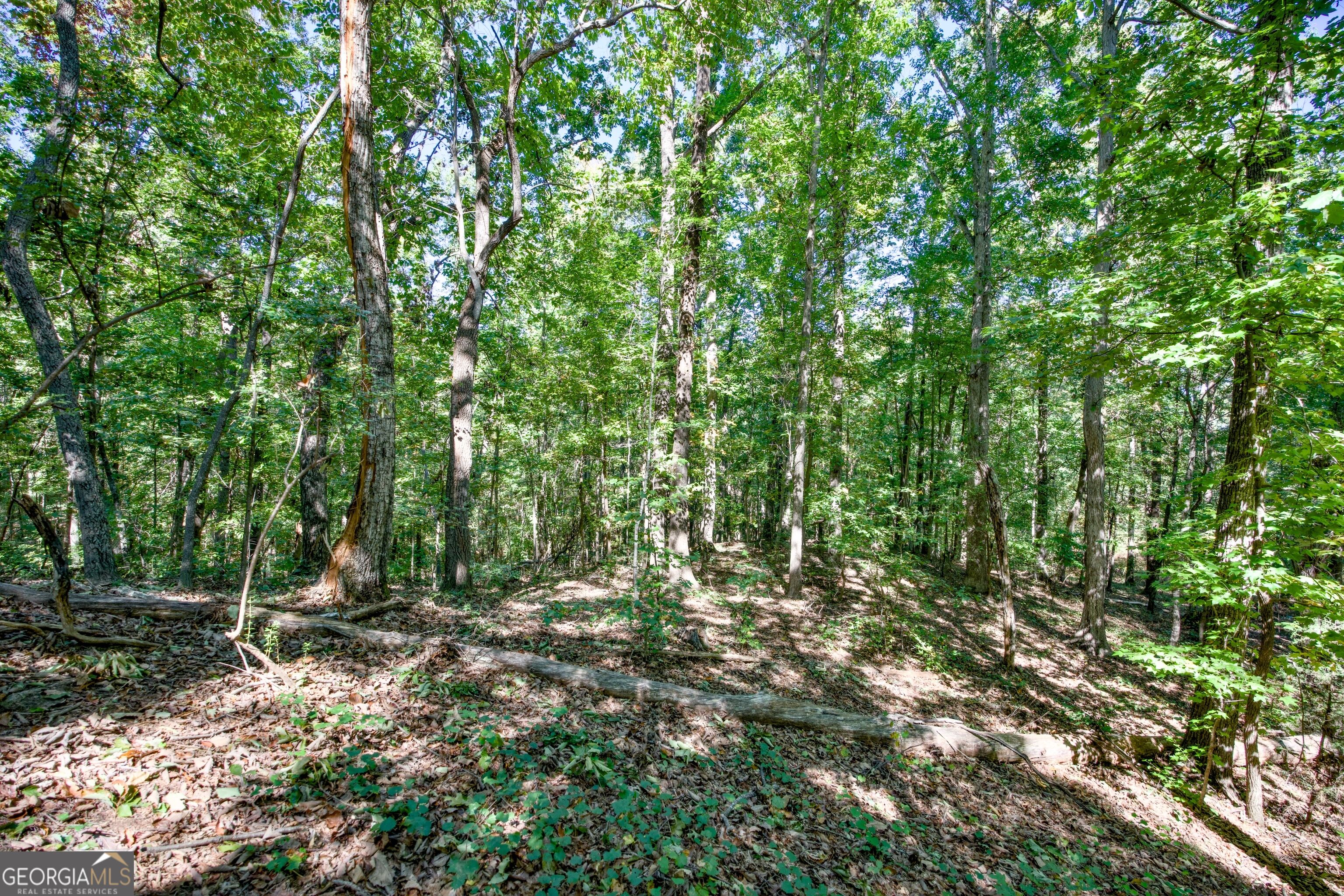 52 Ac Soapstone Road Baldwin GA 30511