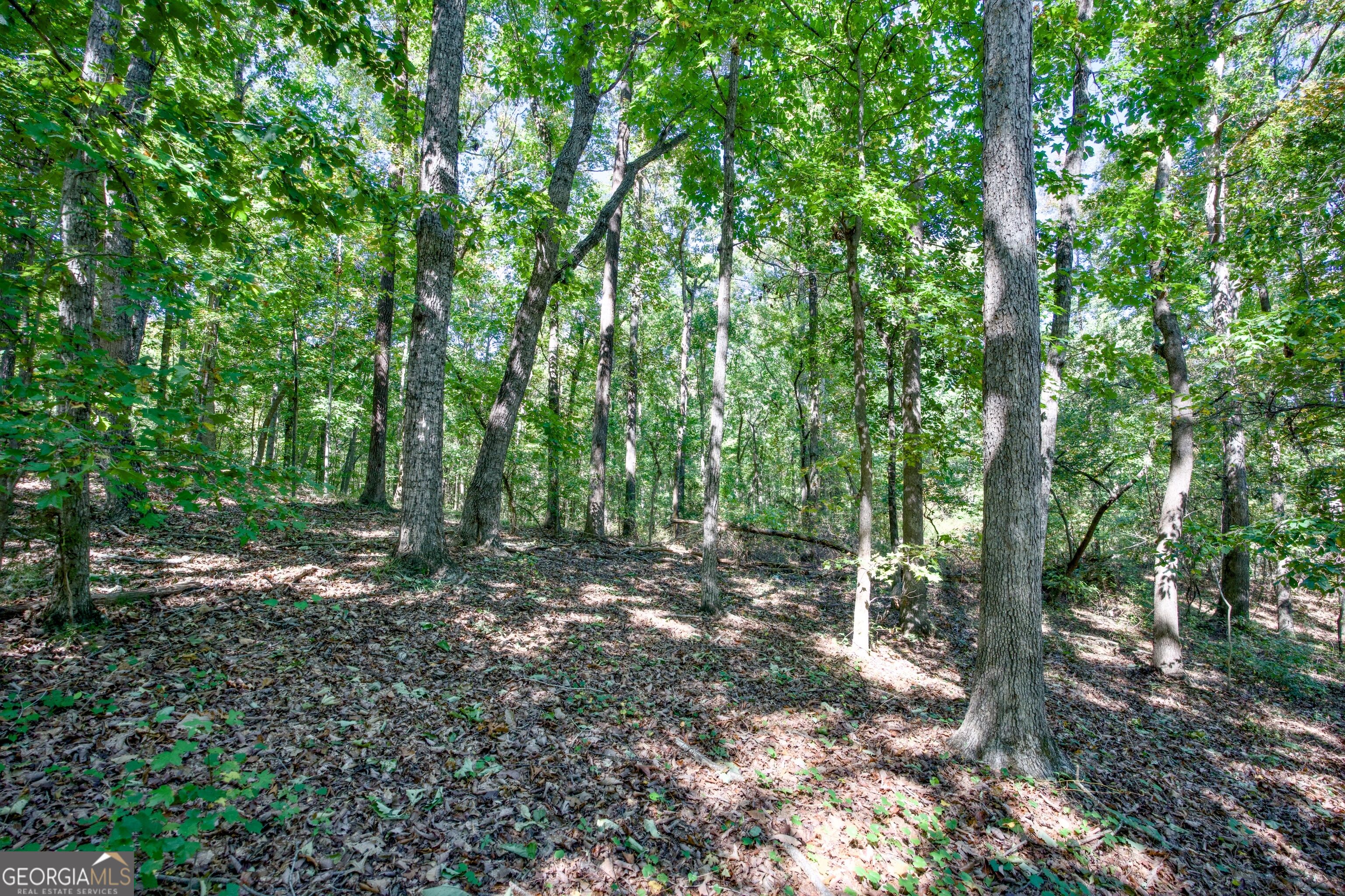 52 Ac Soapstone Road Baldwin GA 30511