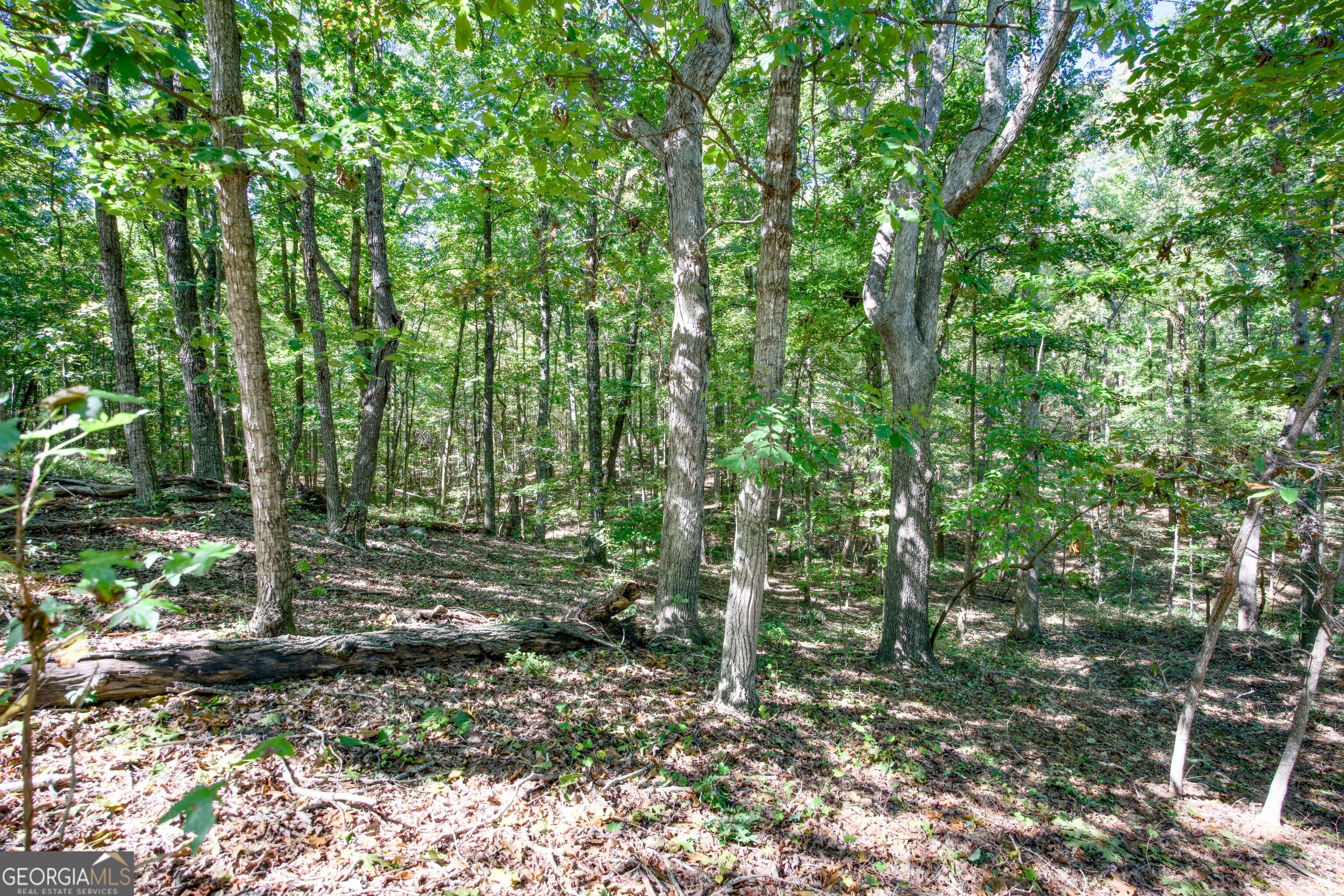 52 Ac Soapstone Road Baldwin GA 30511