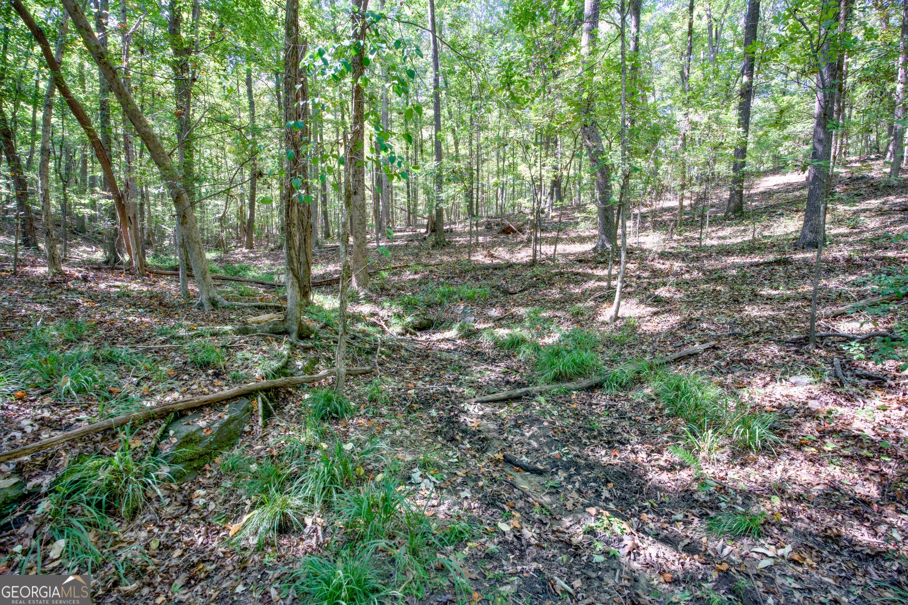 52 Ac Soapstone Road Baldwin GA 30511