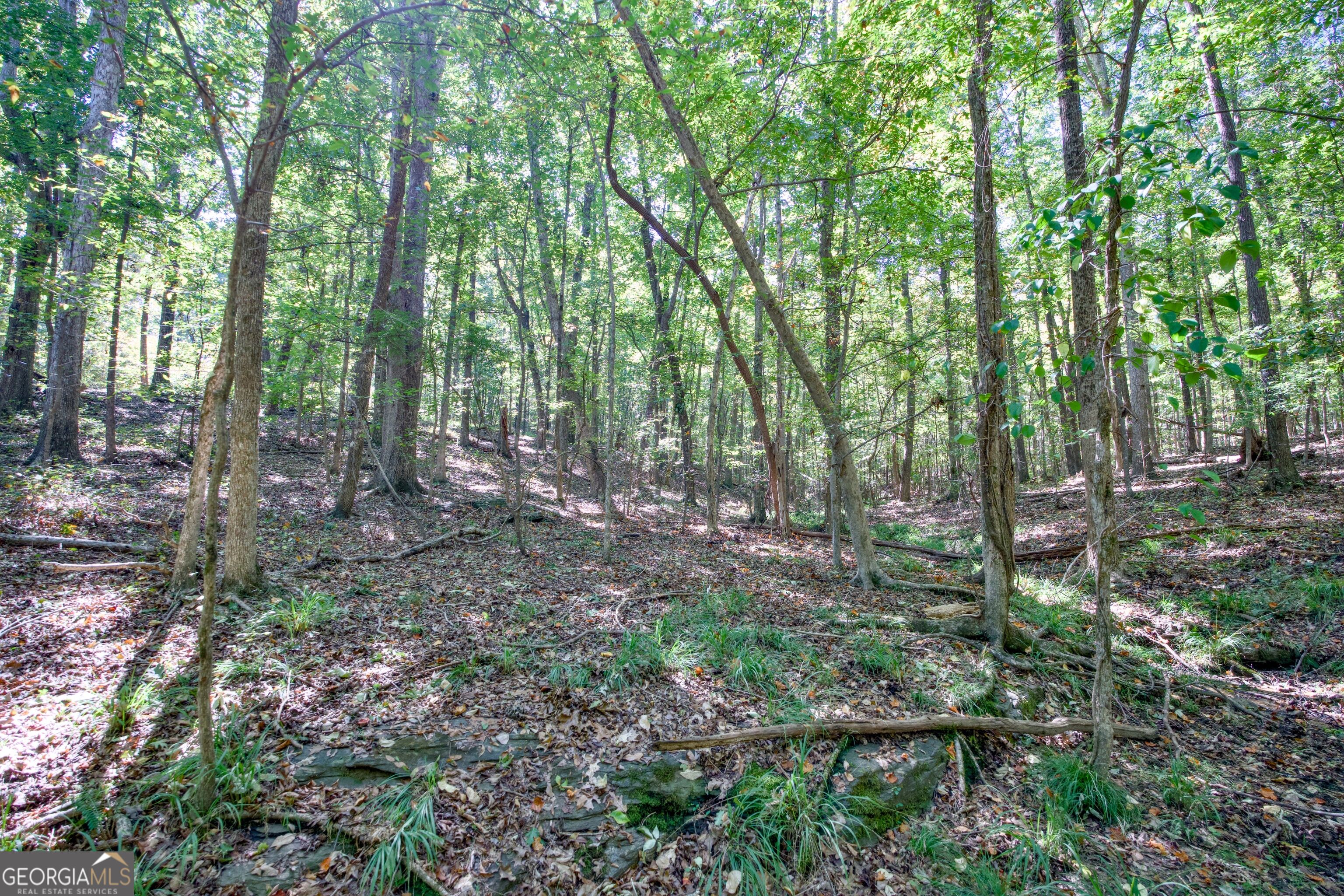 52 Ac Soapstone Road Baldwin GA 30511