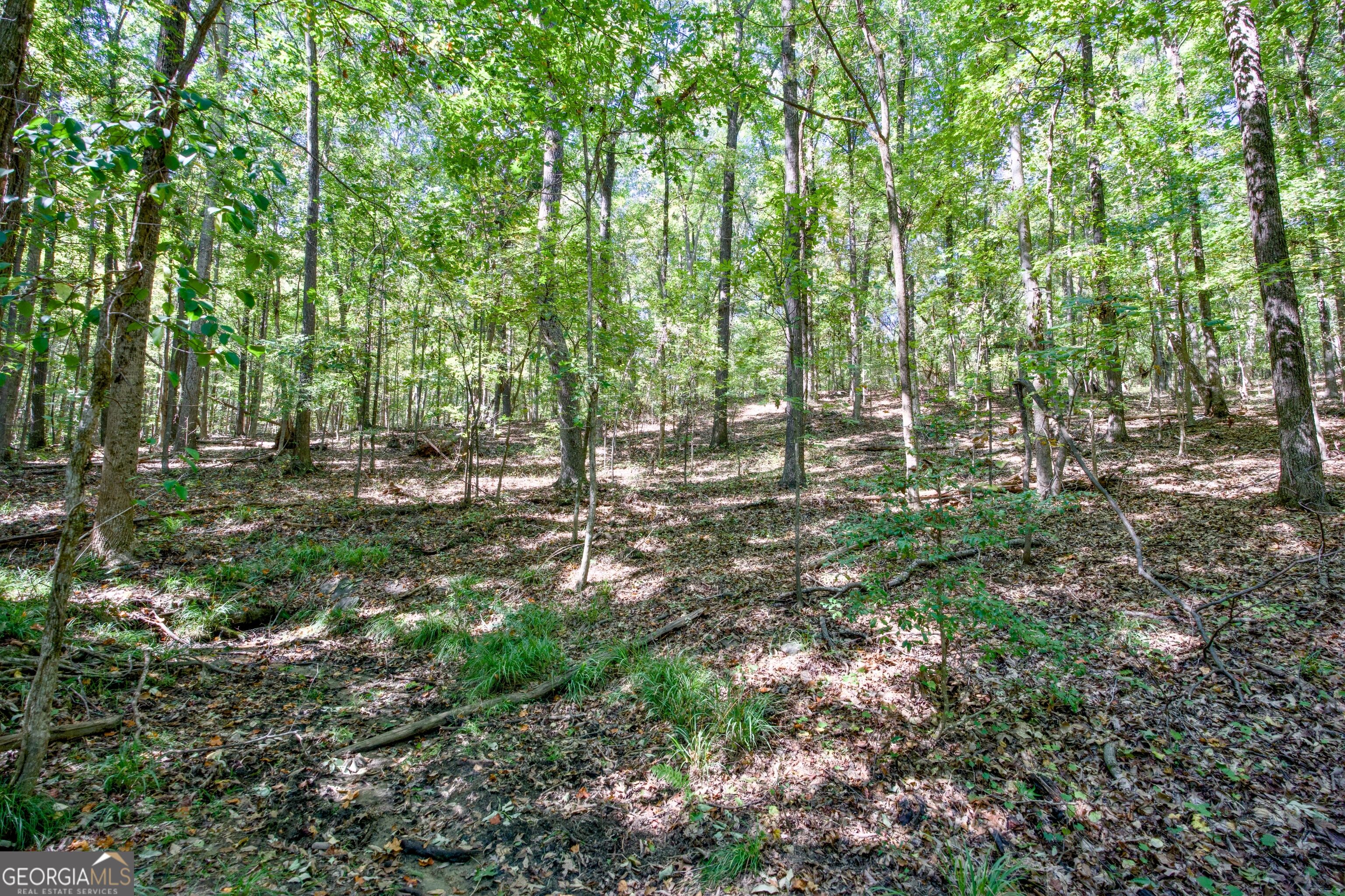 52 Ac Soapstone Road Baldwin GA 30511