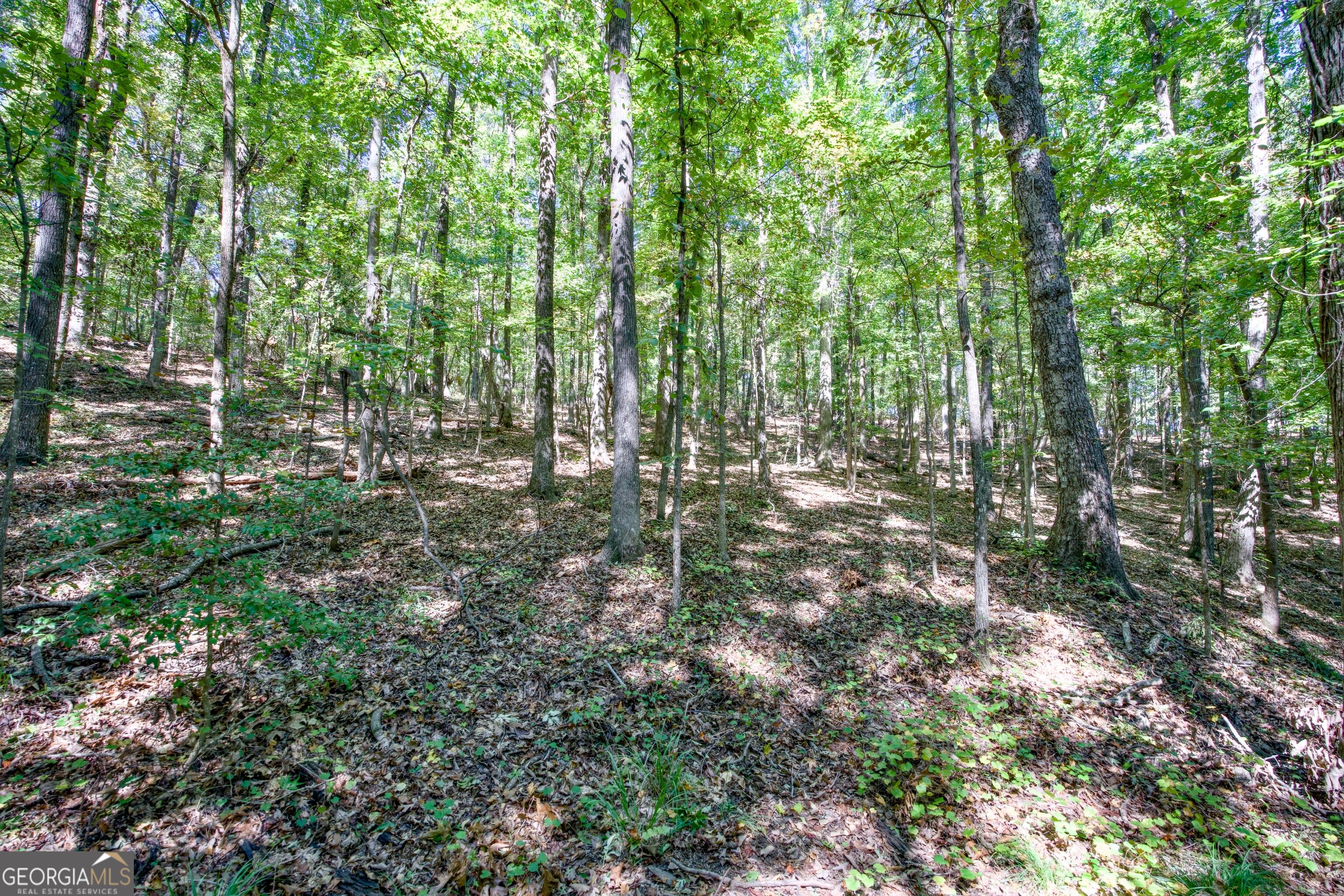 52 Ac Soapstone Road Baldwin GA 30511