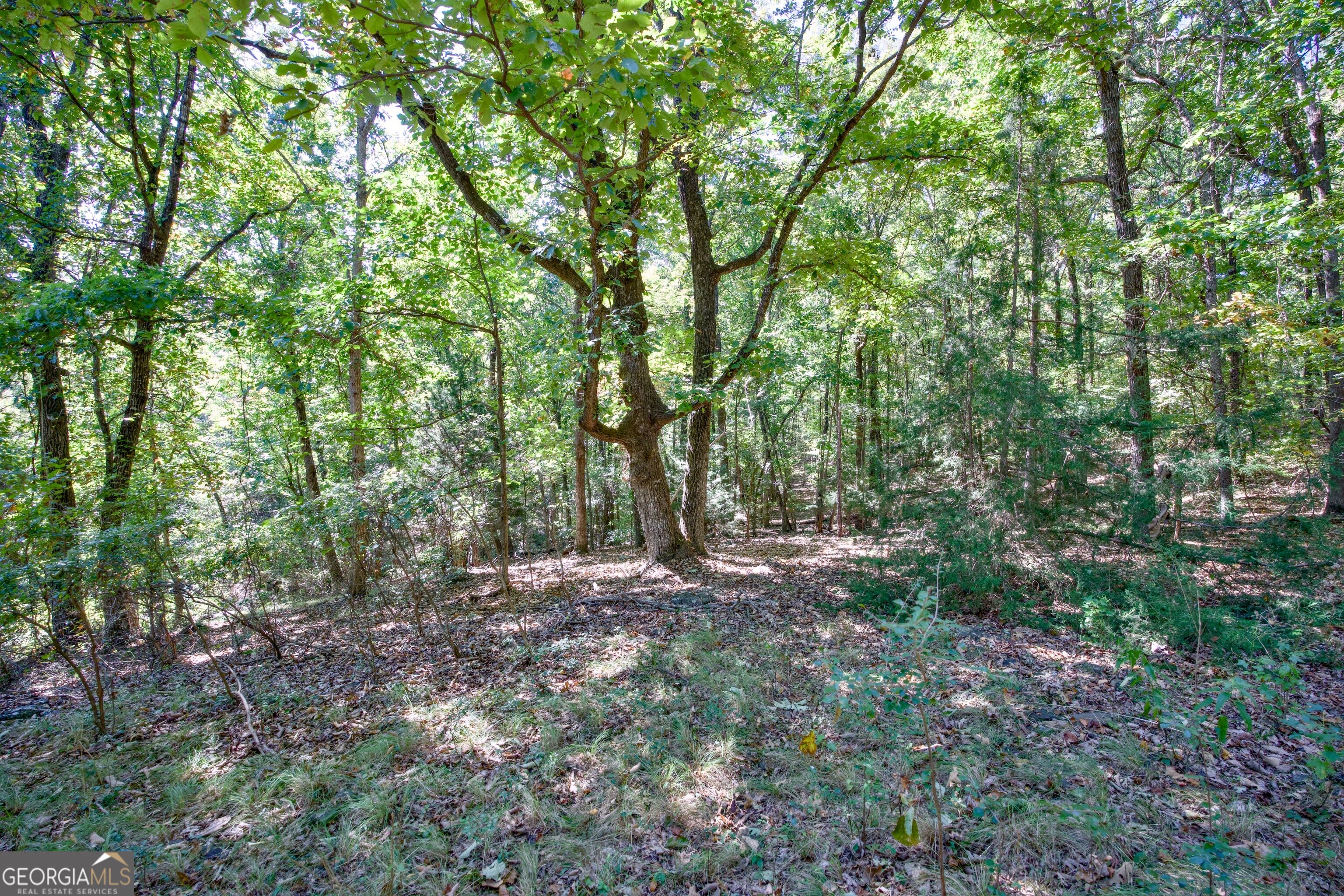 52 Ac Soapstone Road Baldwin GA 30511