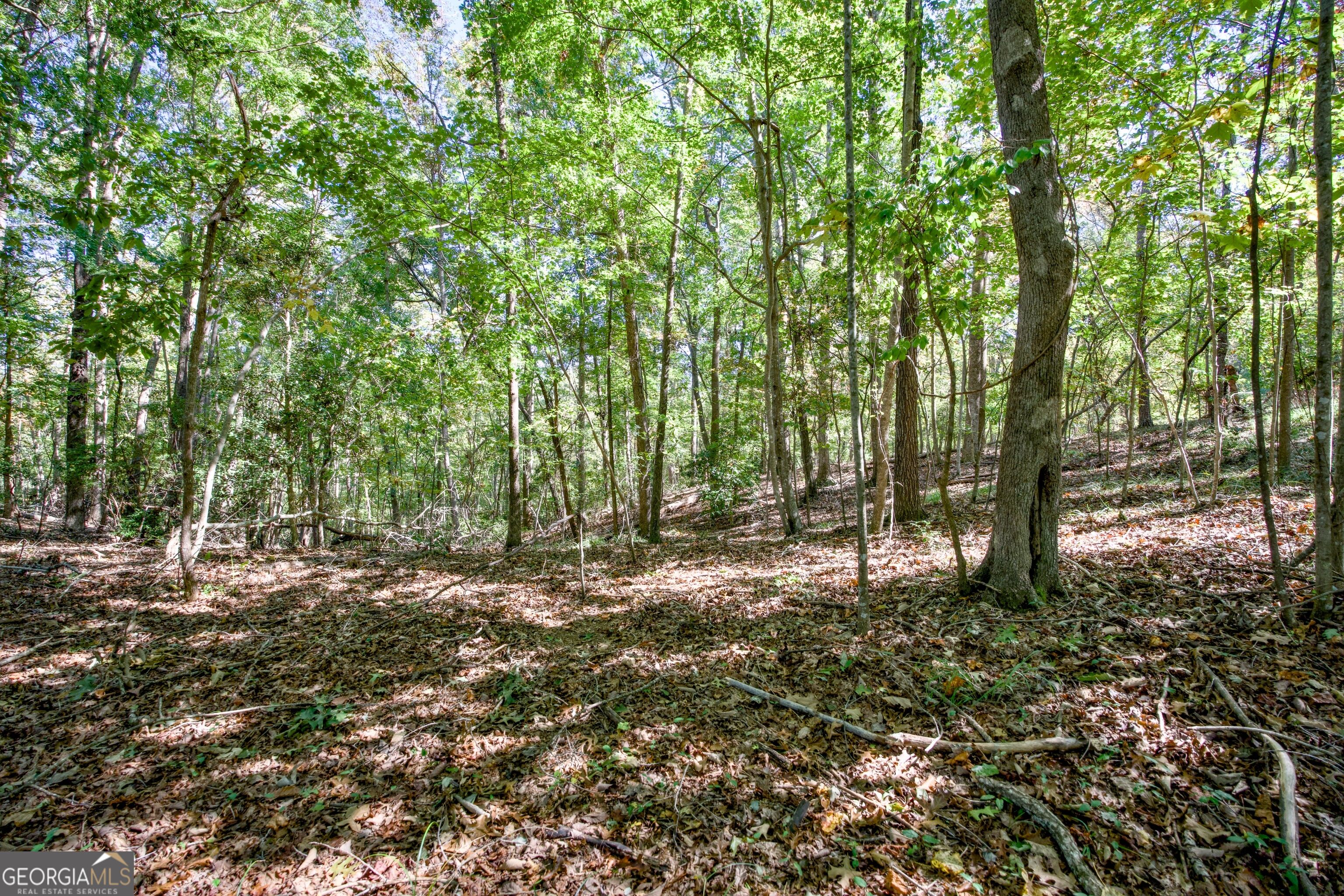 52 Ac Soapstone Road Baldwin GA 30511