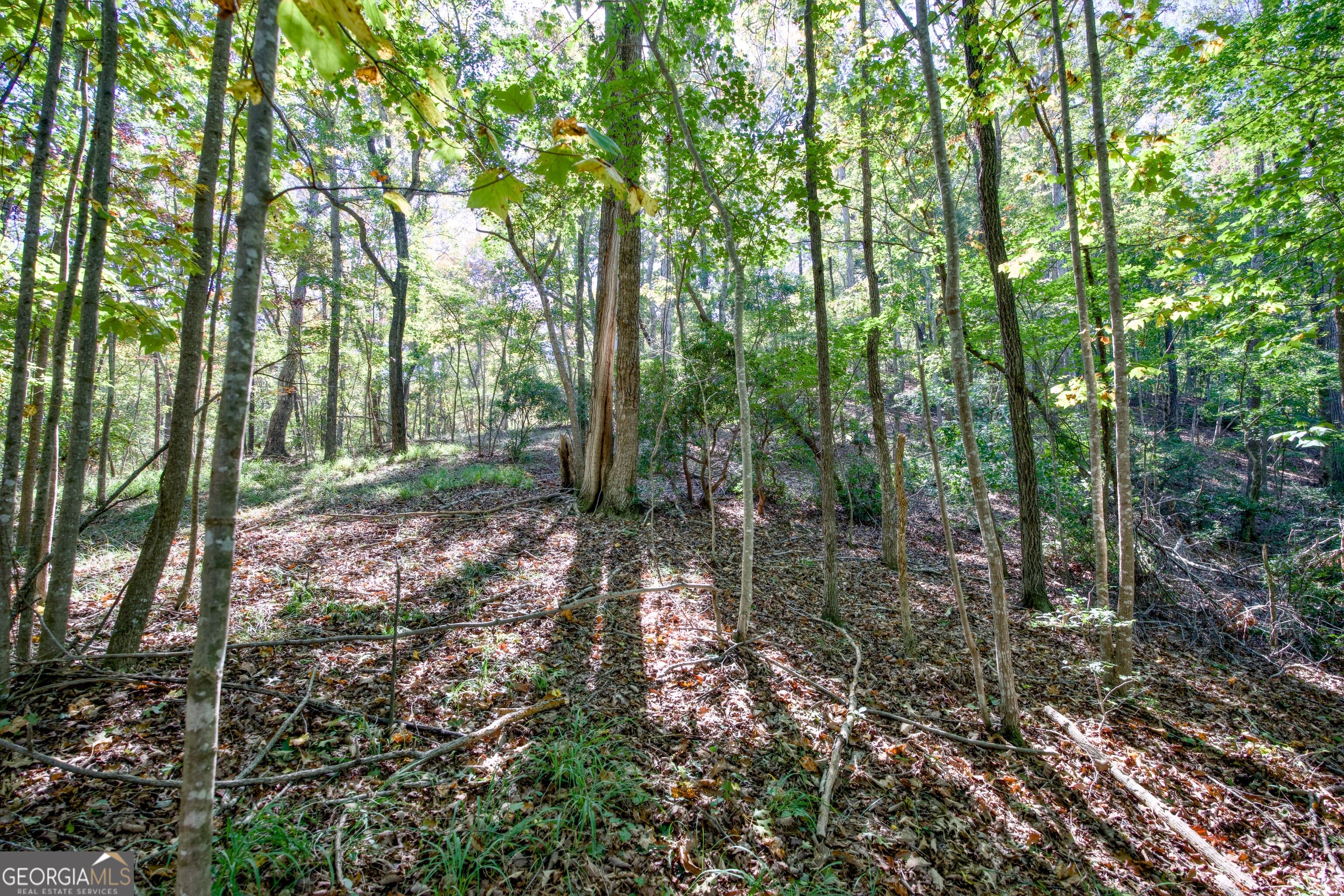 52 Ac Soapstone Road Baldwin GA 30511