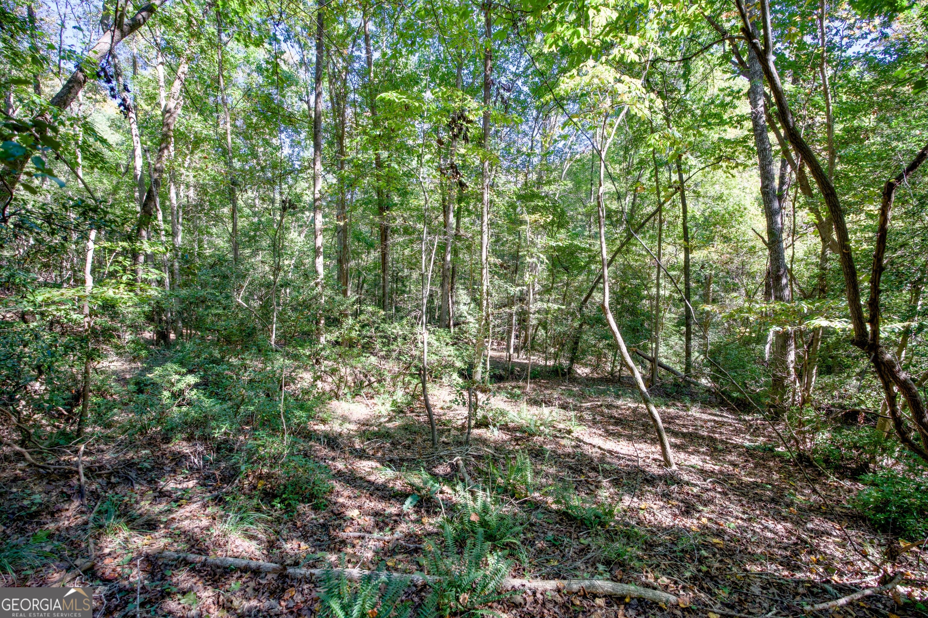 52 Ac Soapstone Road Baldwin GA 30511