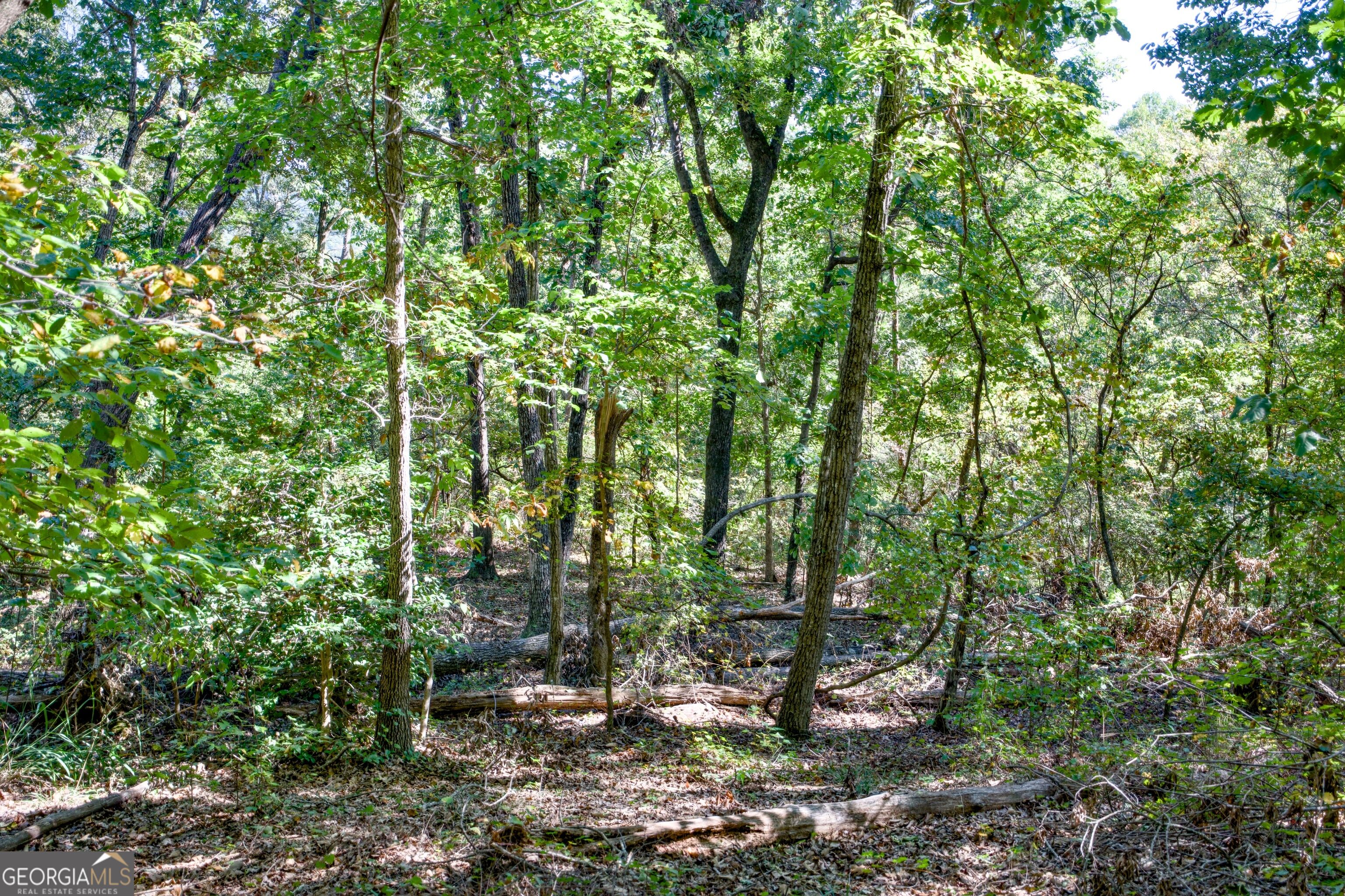 52 Ac Soapstone Road Baldwin GA 30511