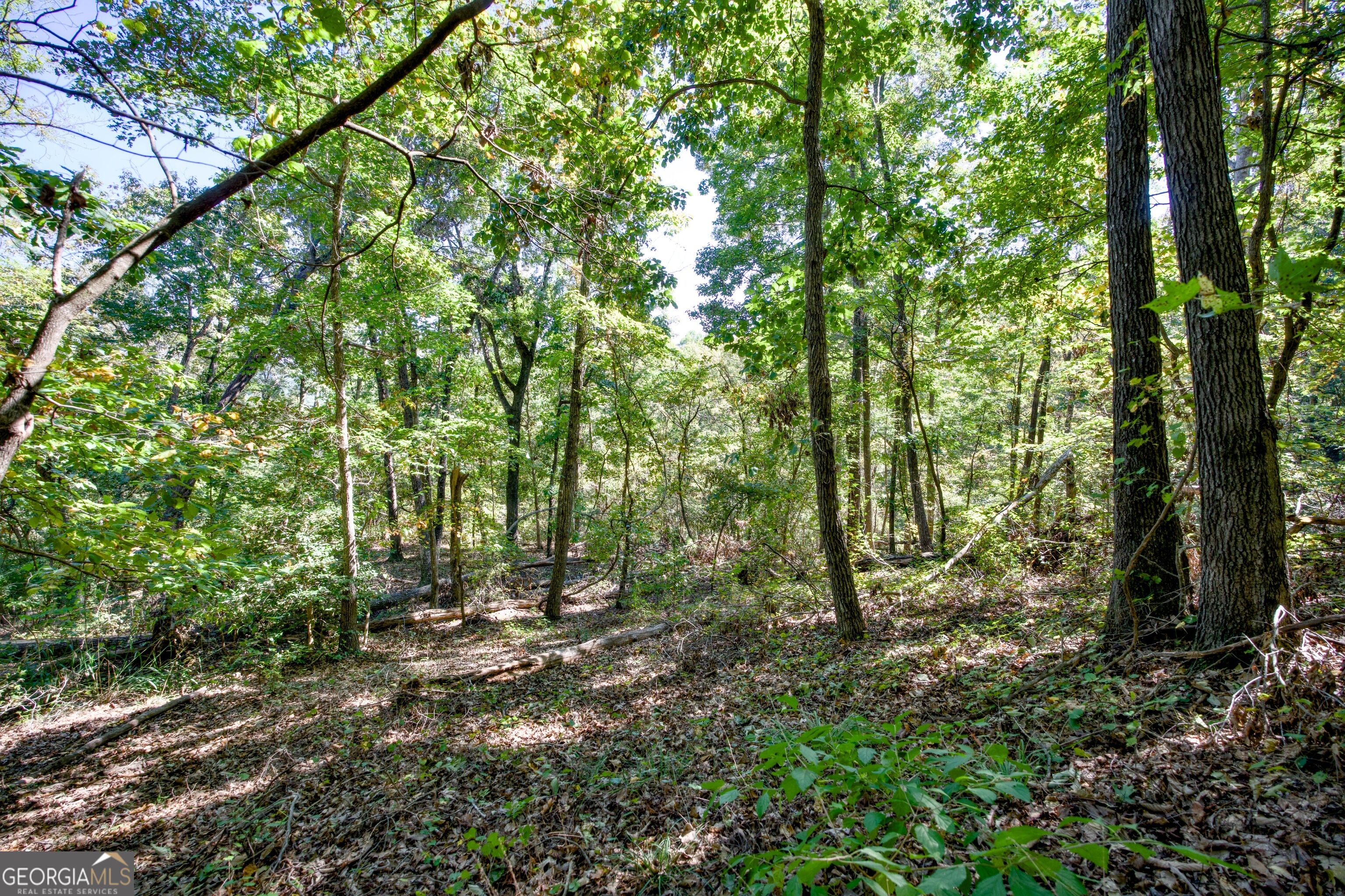 52 Ac Soapstone Road Baldwin GA 30511