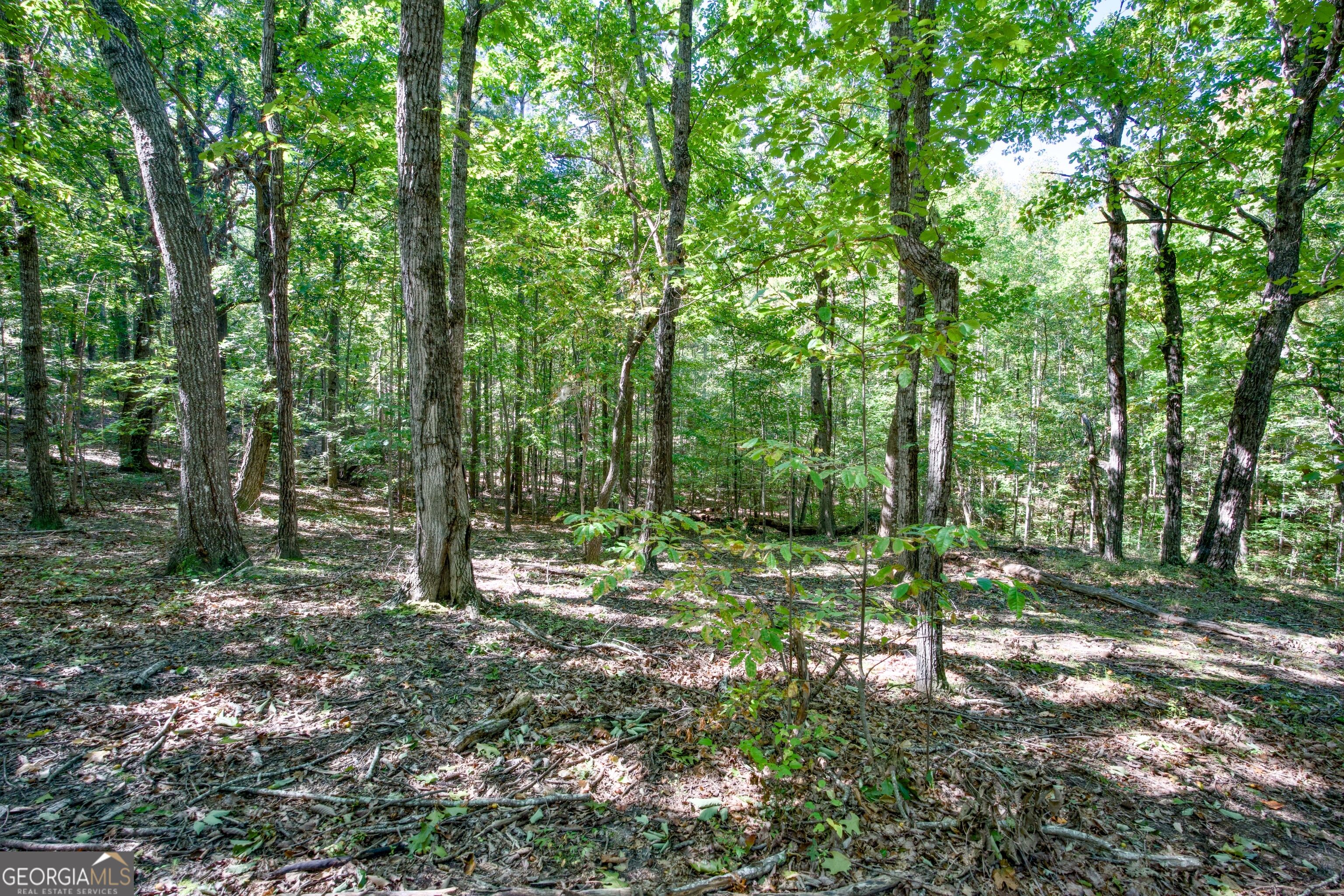52 Ac Soapstone Road Baldwin GA 30511