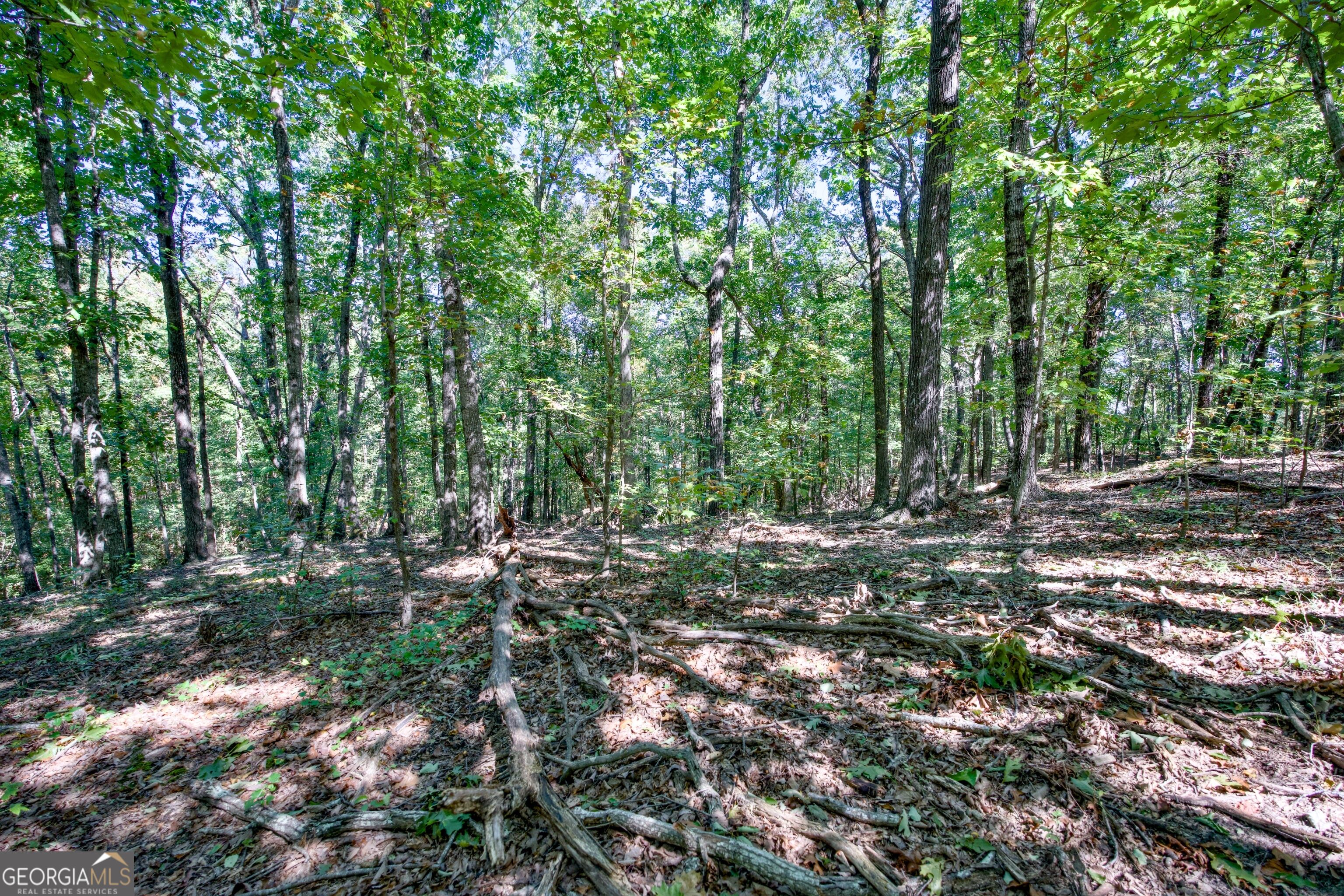52 Ac Soapstone Road Baldwin GA 30511