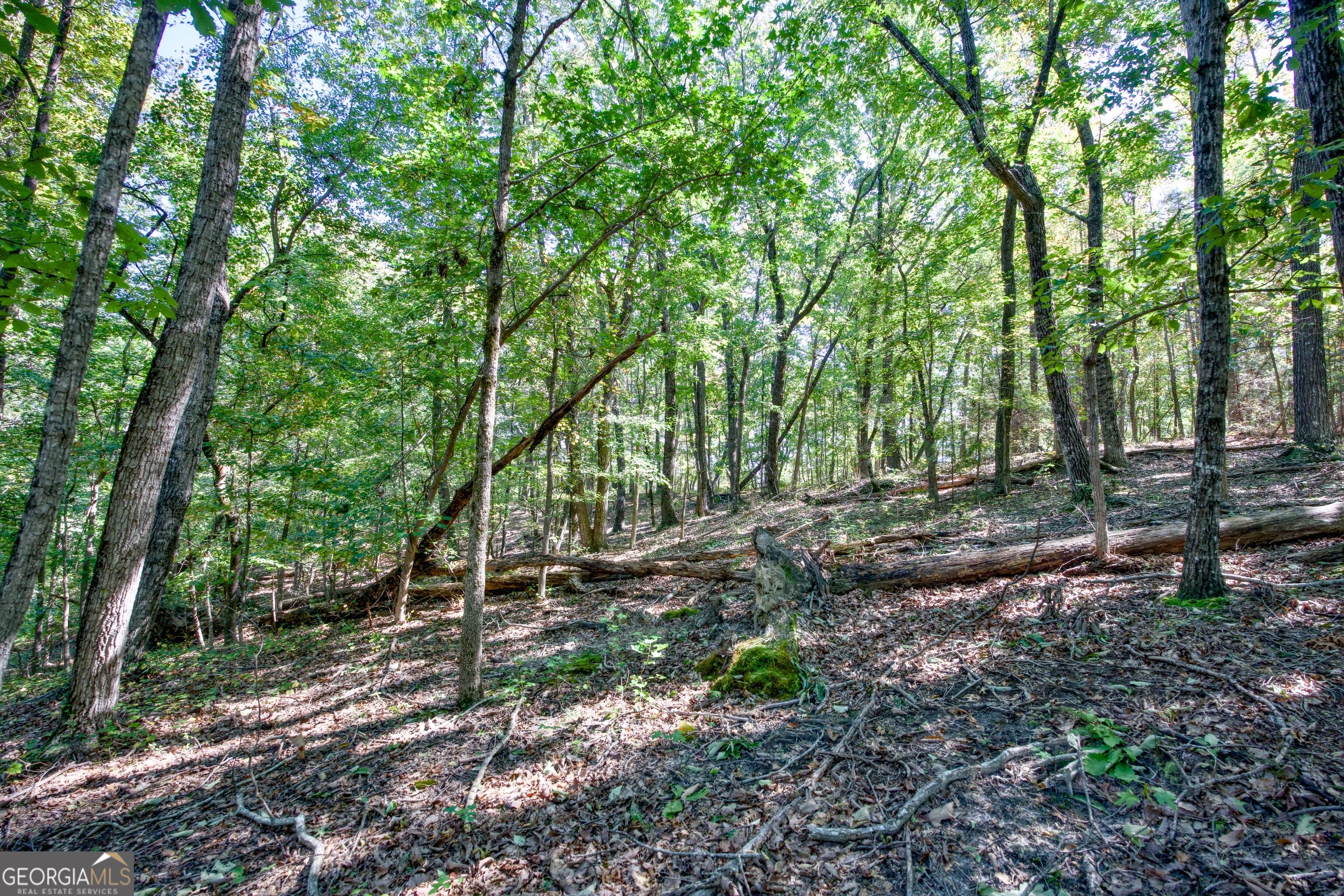 52 Ac Soapstone Road Baldwin GA 30511