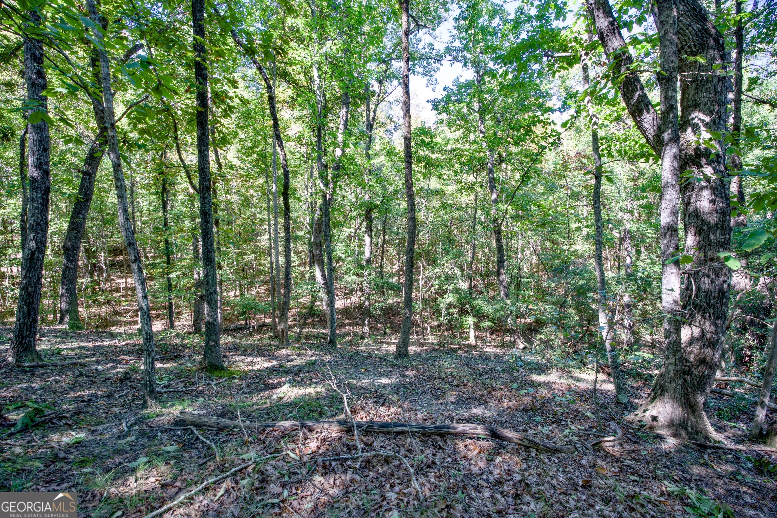 52 Ac Soapstone Road Baldwin GA 30511