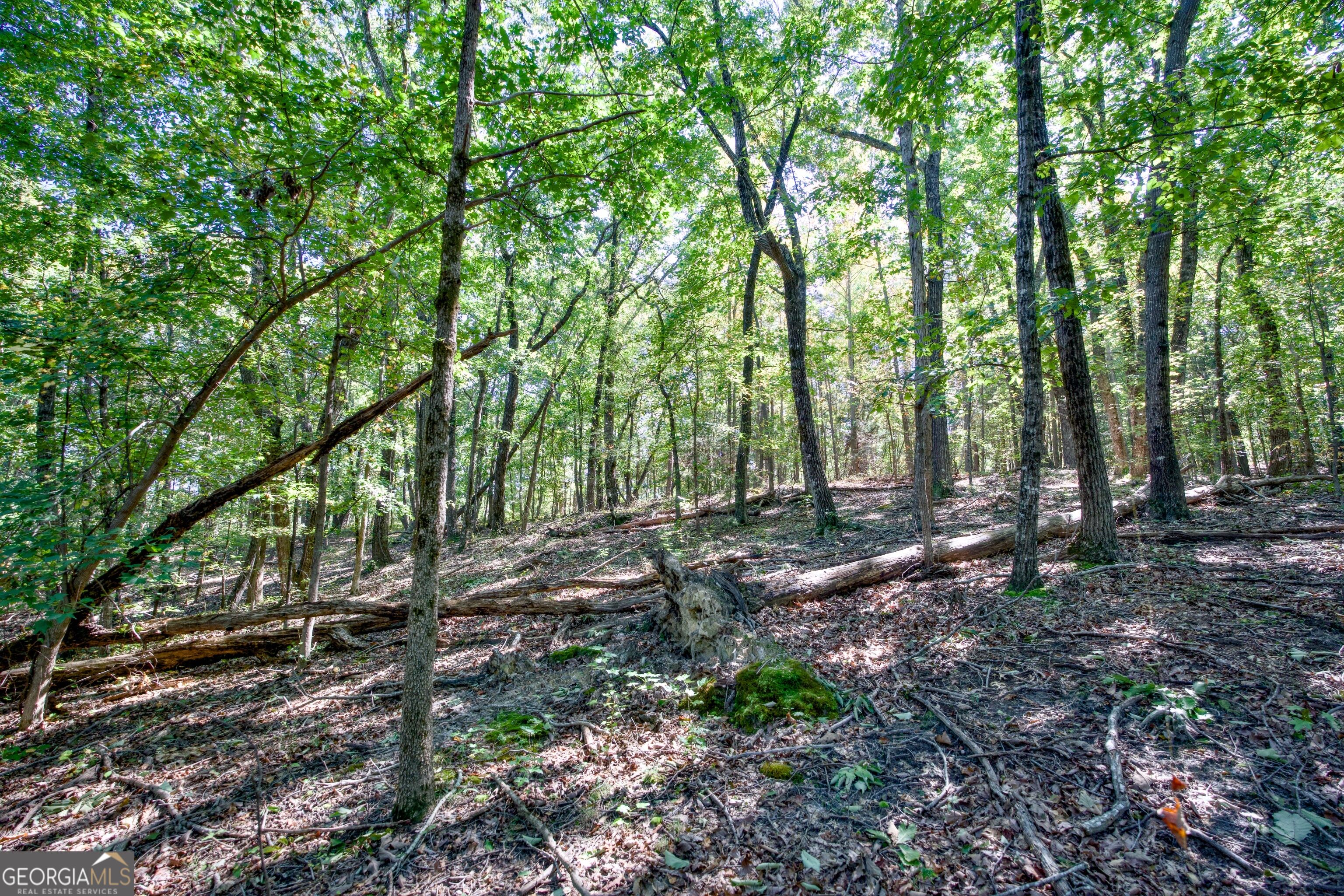 52 Ac Soapstone Road Baldwin GA 30511