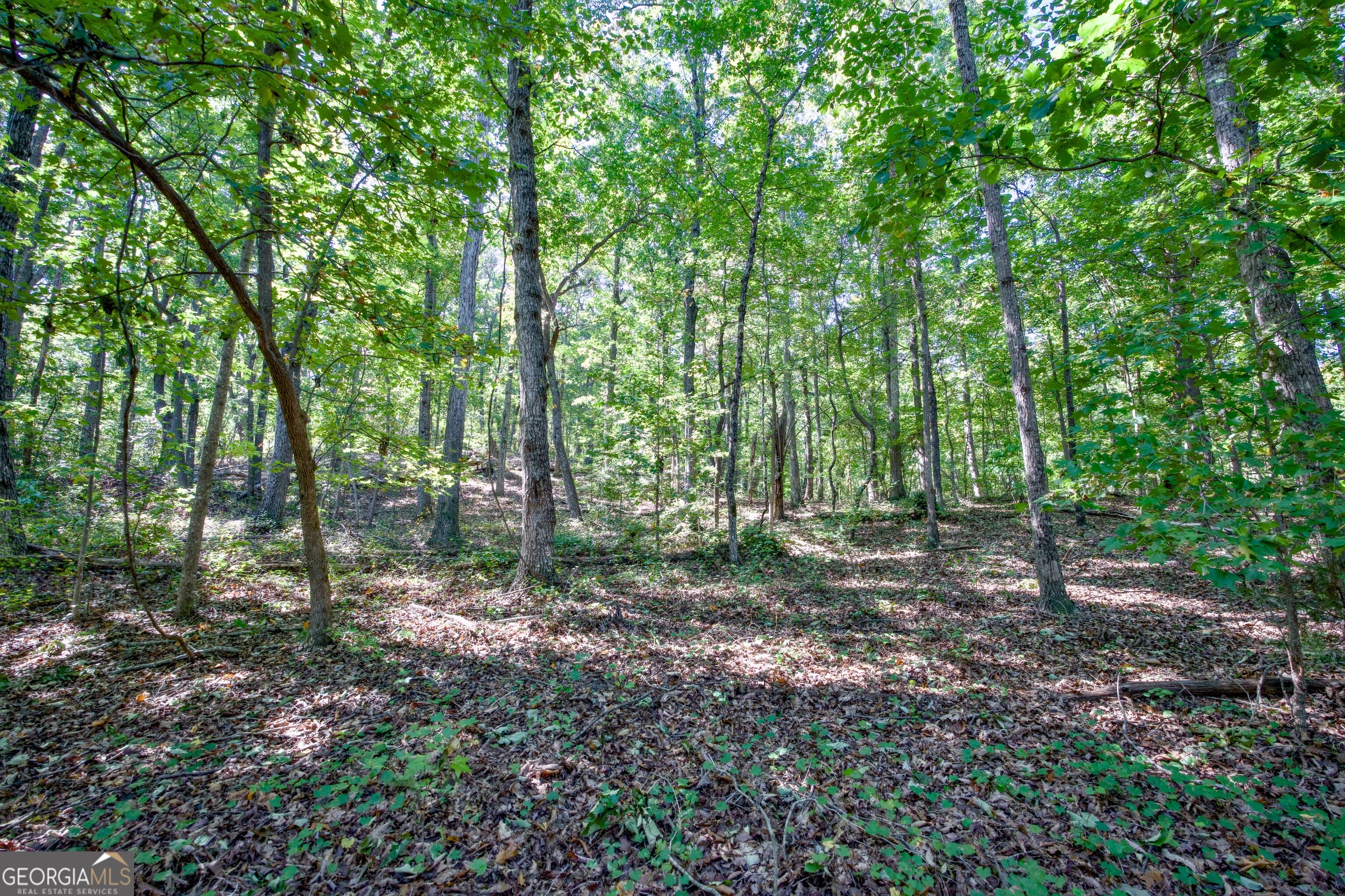 52 Ac Soapstone Road Baldwin GA 30511