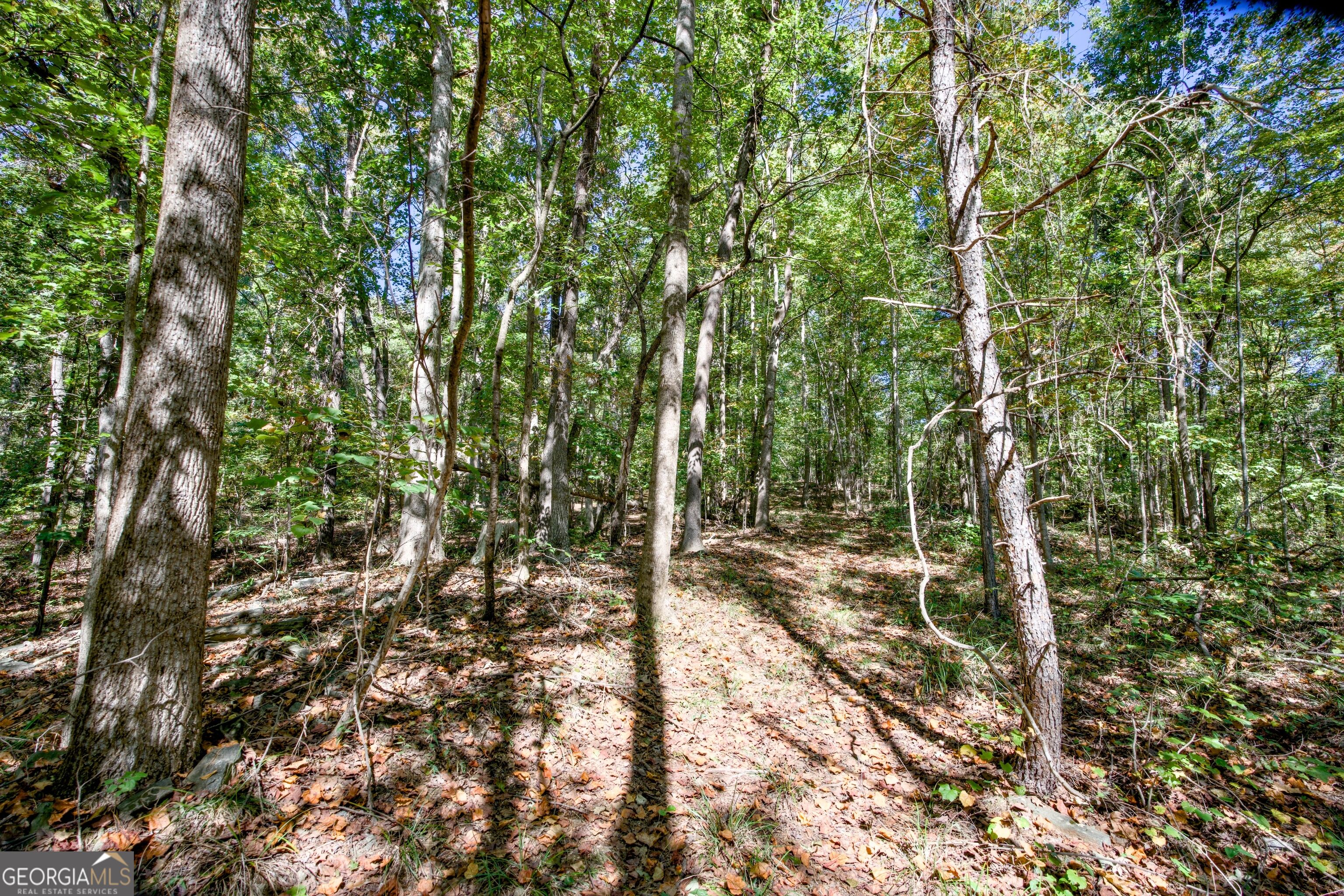 52 Ac Soapstone Road Baldwin GA 30511