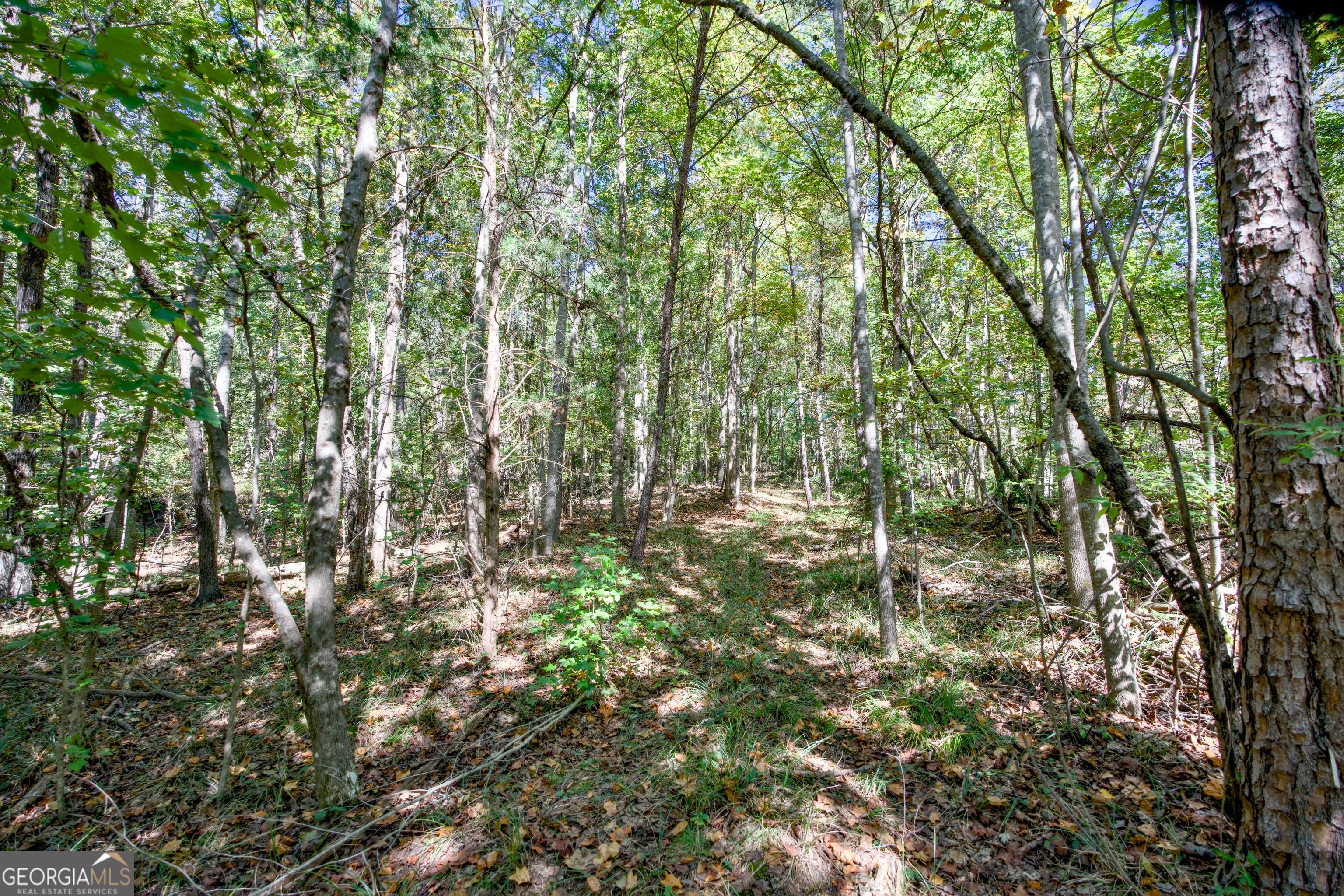 52 Ac Soapstone Road Baldwin GA 30511