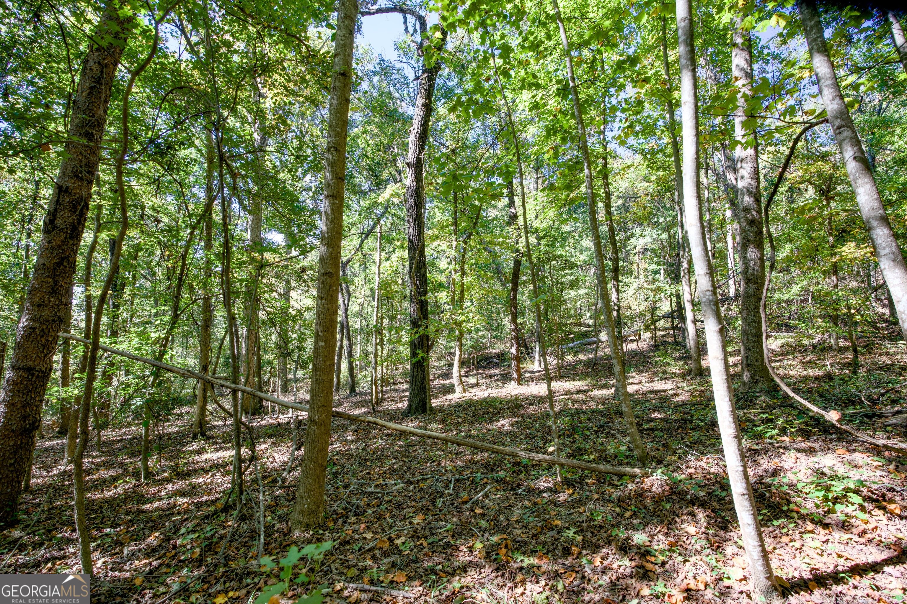 52 Ac Soapstone Road Baldwin GA 30511