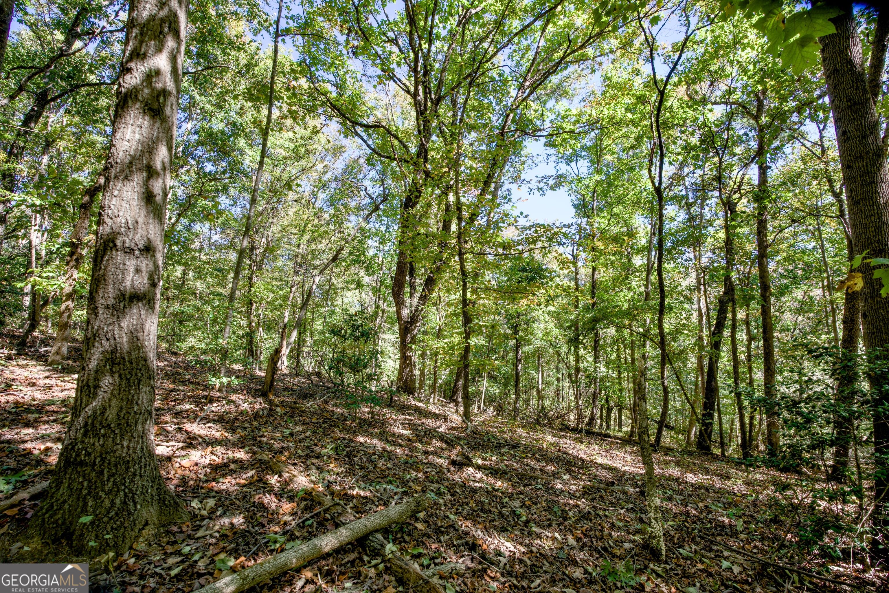 52 Ac Soapstone Road Baldwin GA 30511