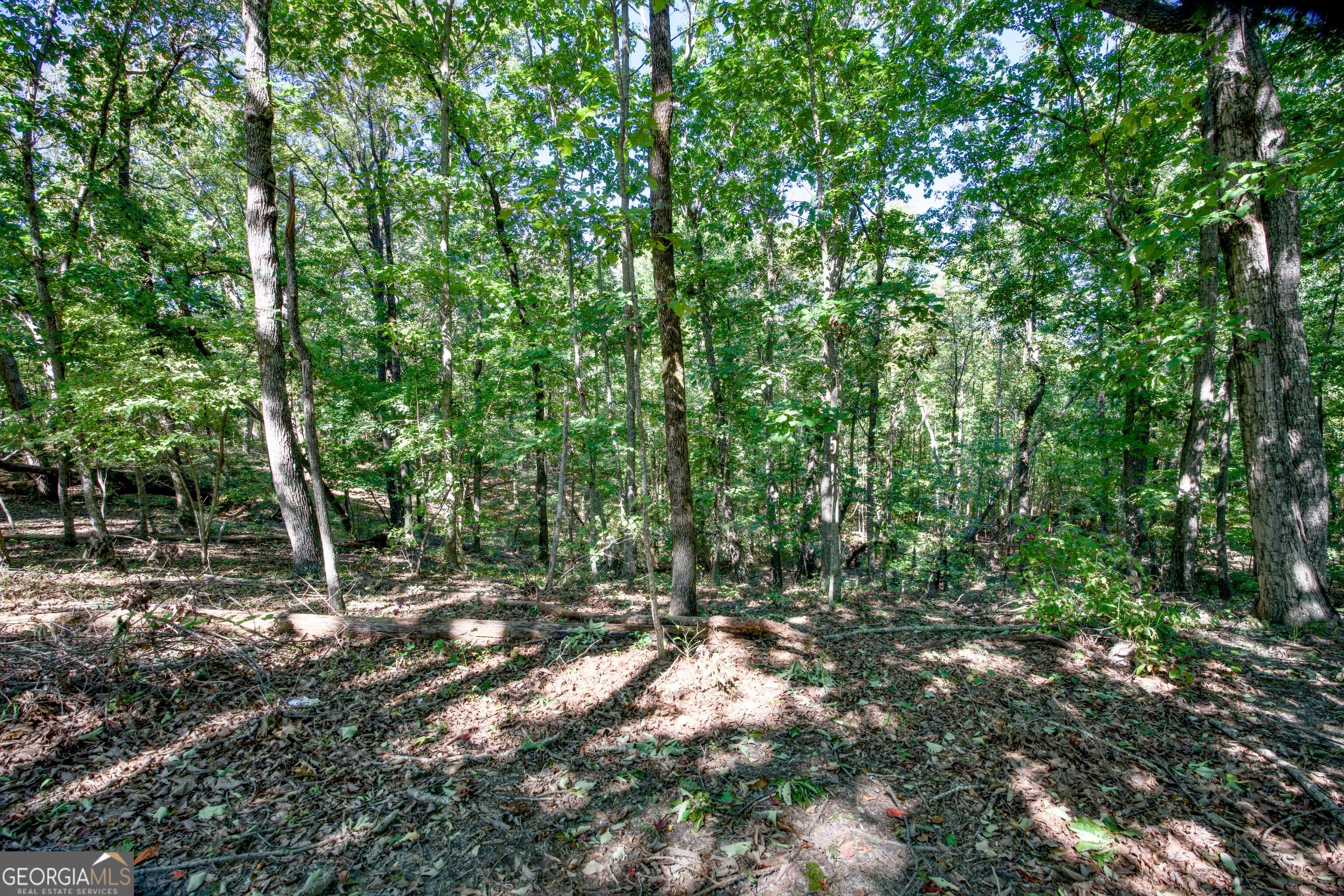 52 Ac Soapstone Road Baldwin GA 30511
