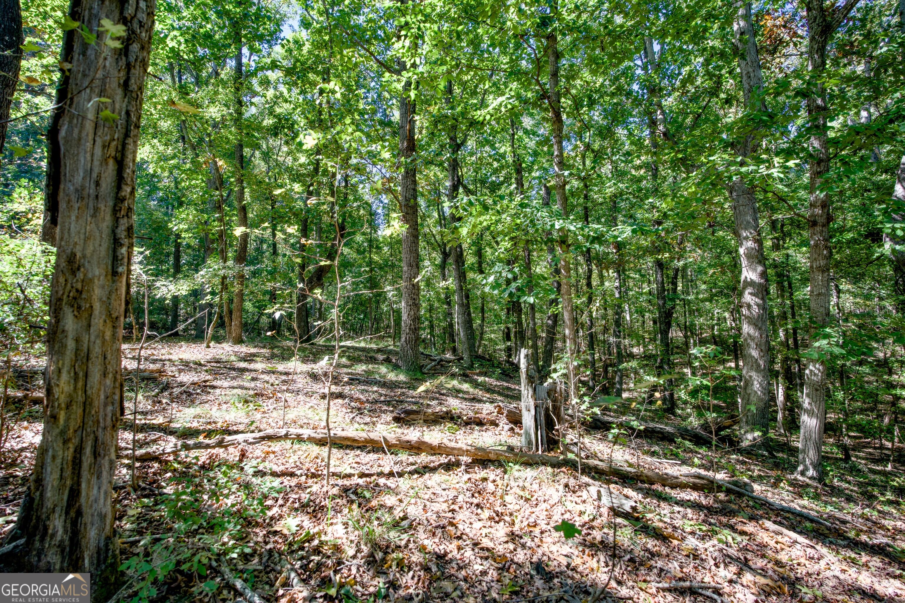 52 Ac Soapstone Road Baldwin GA 30511
