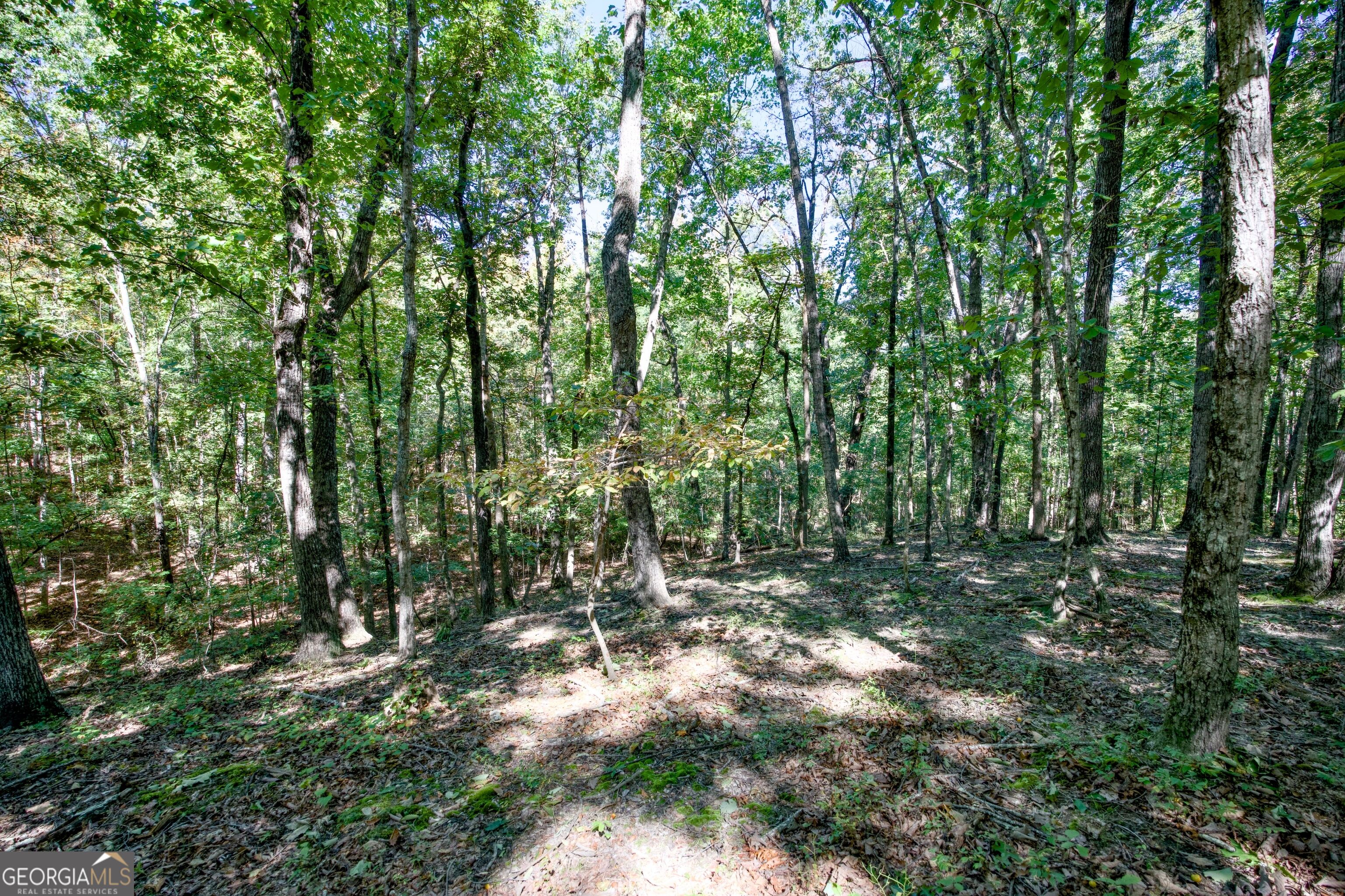 52 Ac Soapstone Road Baldwin GA 30511