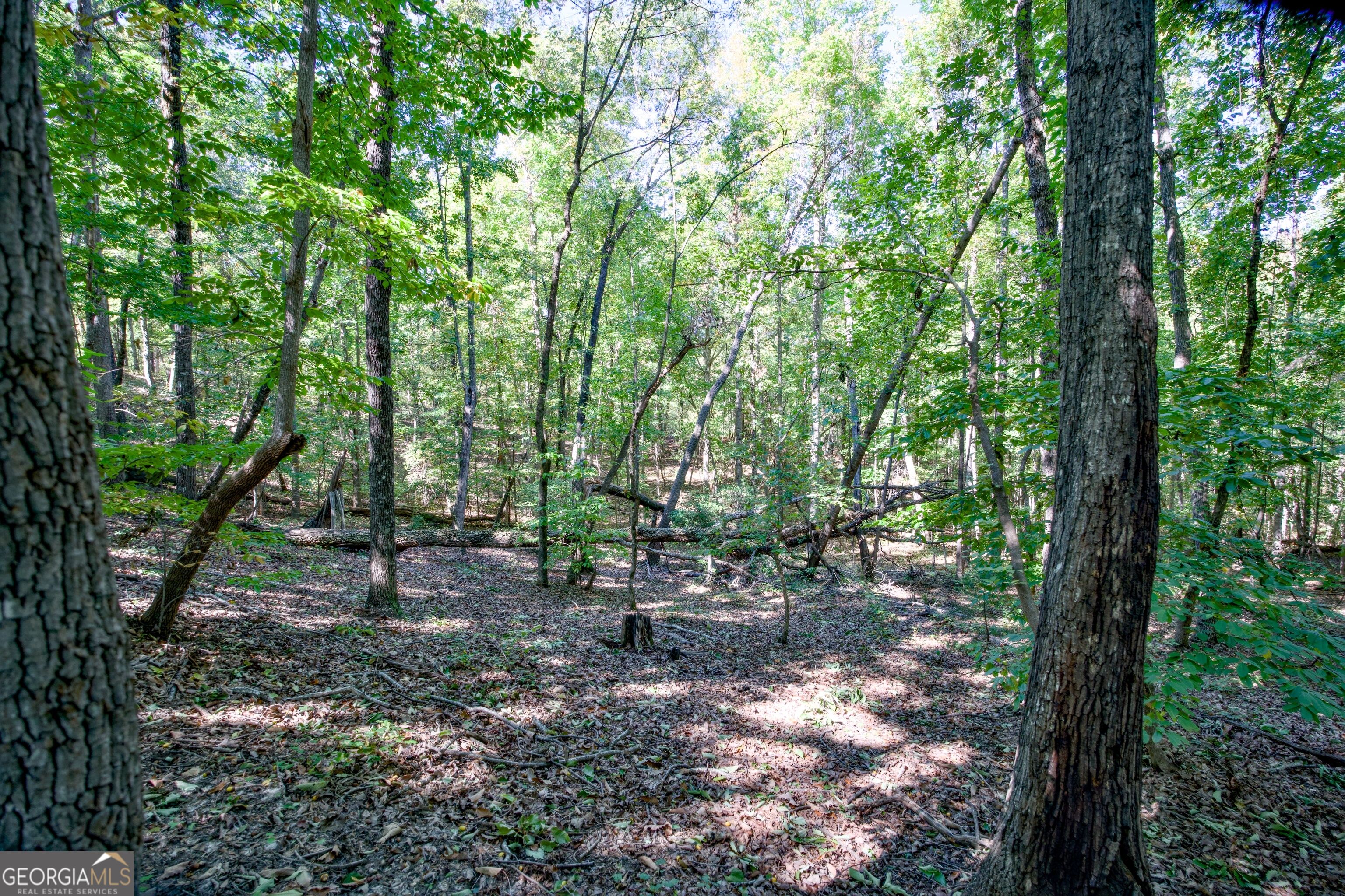 52 Ac Soapstone Road Baldwin GA 30511