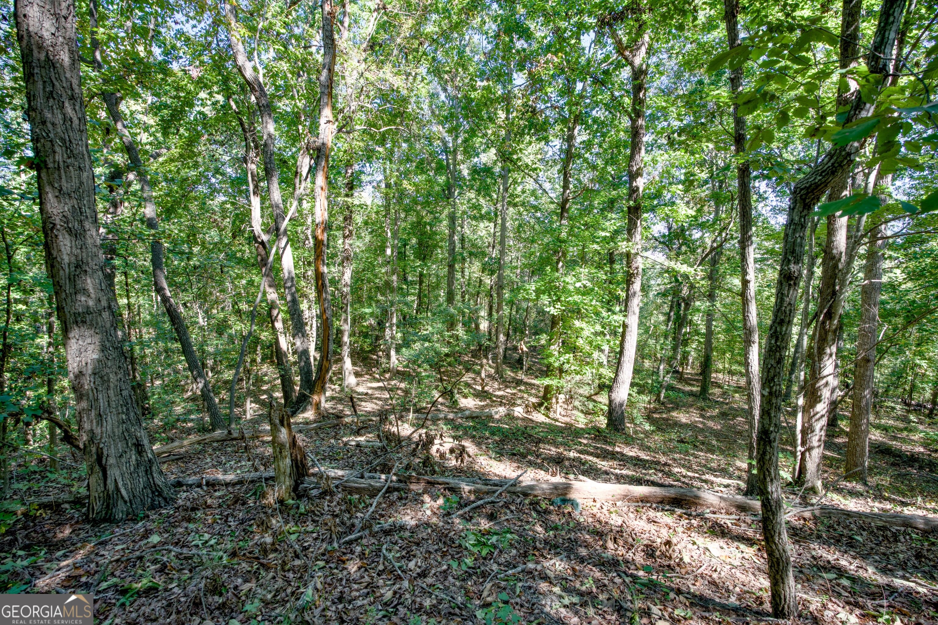 52 Ac Soapstone Road Baldwin GA 30511