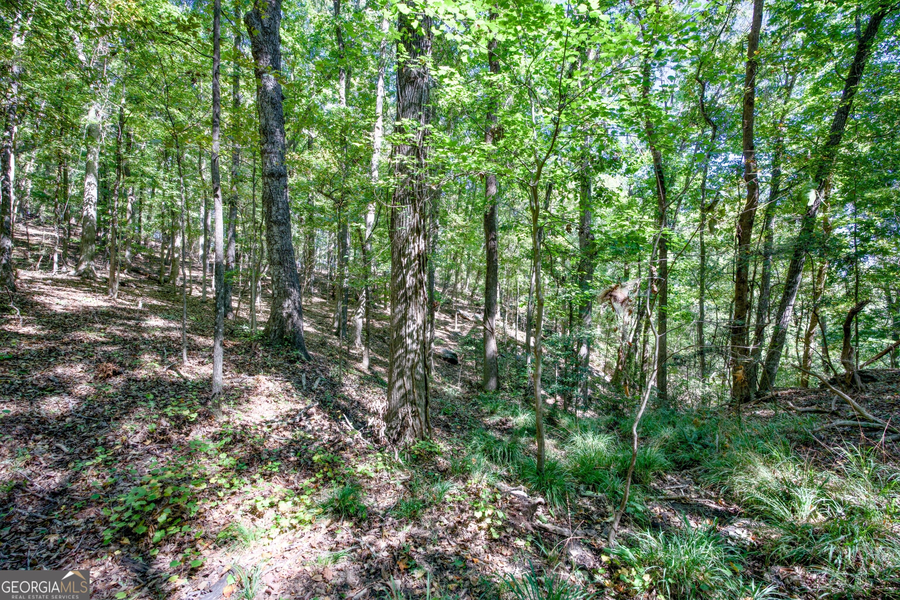 52 Ac Soapstone Road Baldwin GA 30511