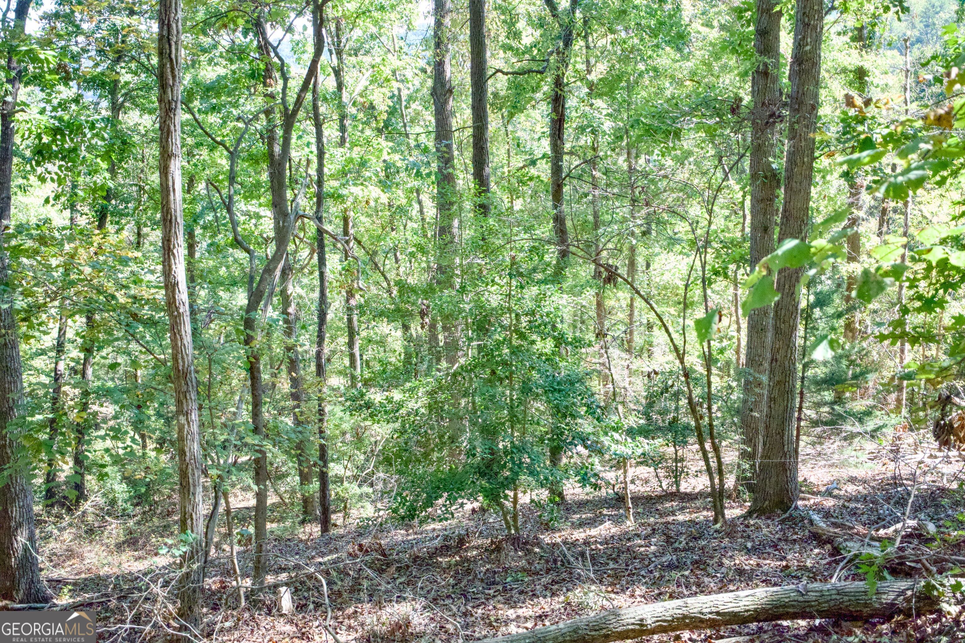52 Ac Soapstone Road Baldwin GA 30511