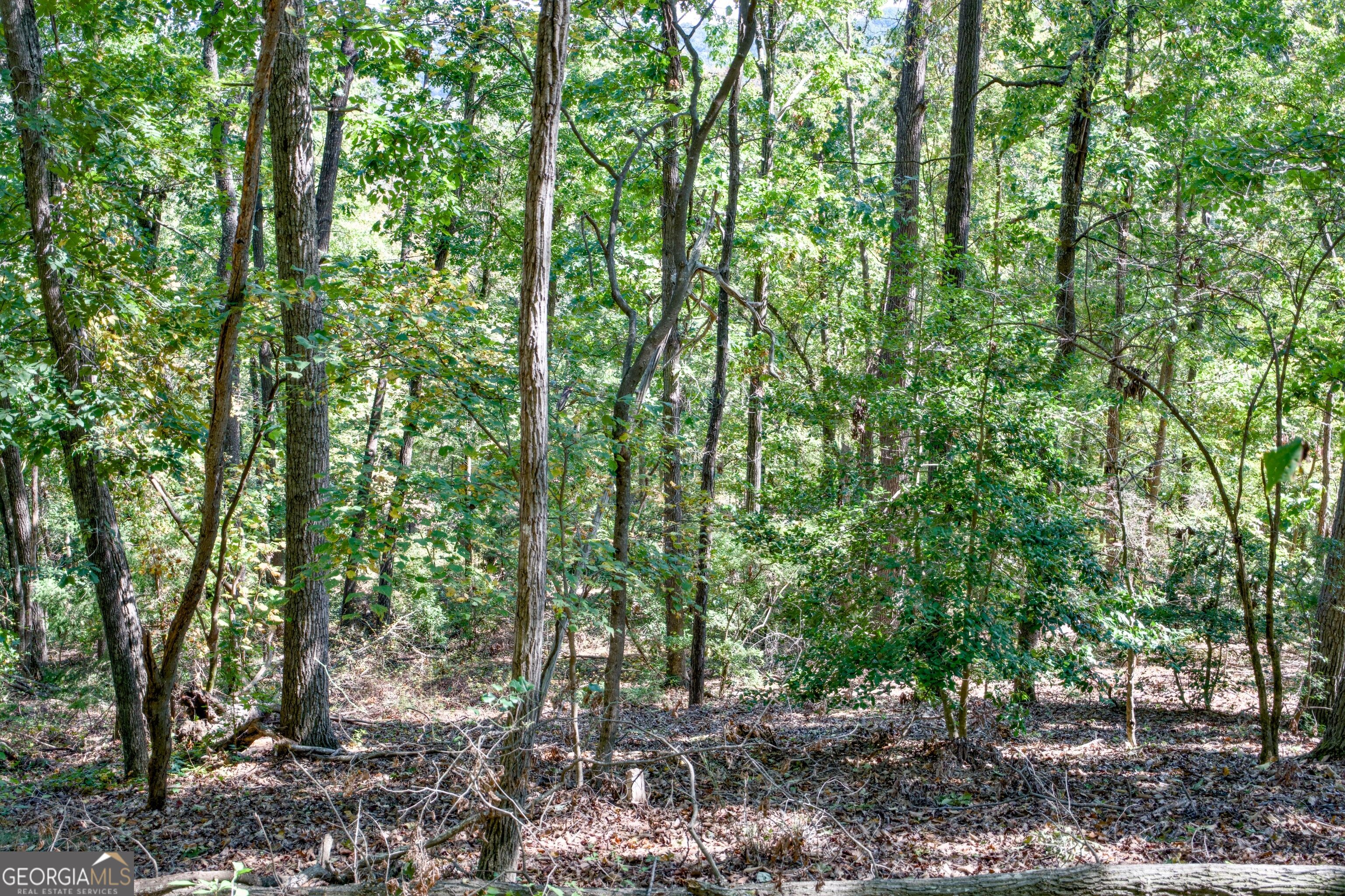 52 Ac Soapstone Road Baldwin GA 30511
