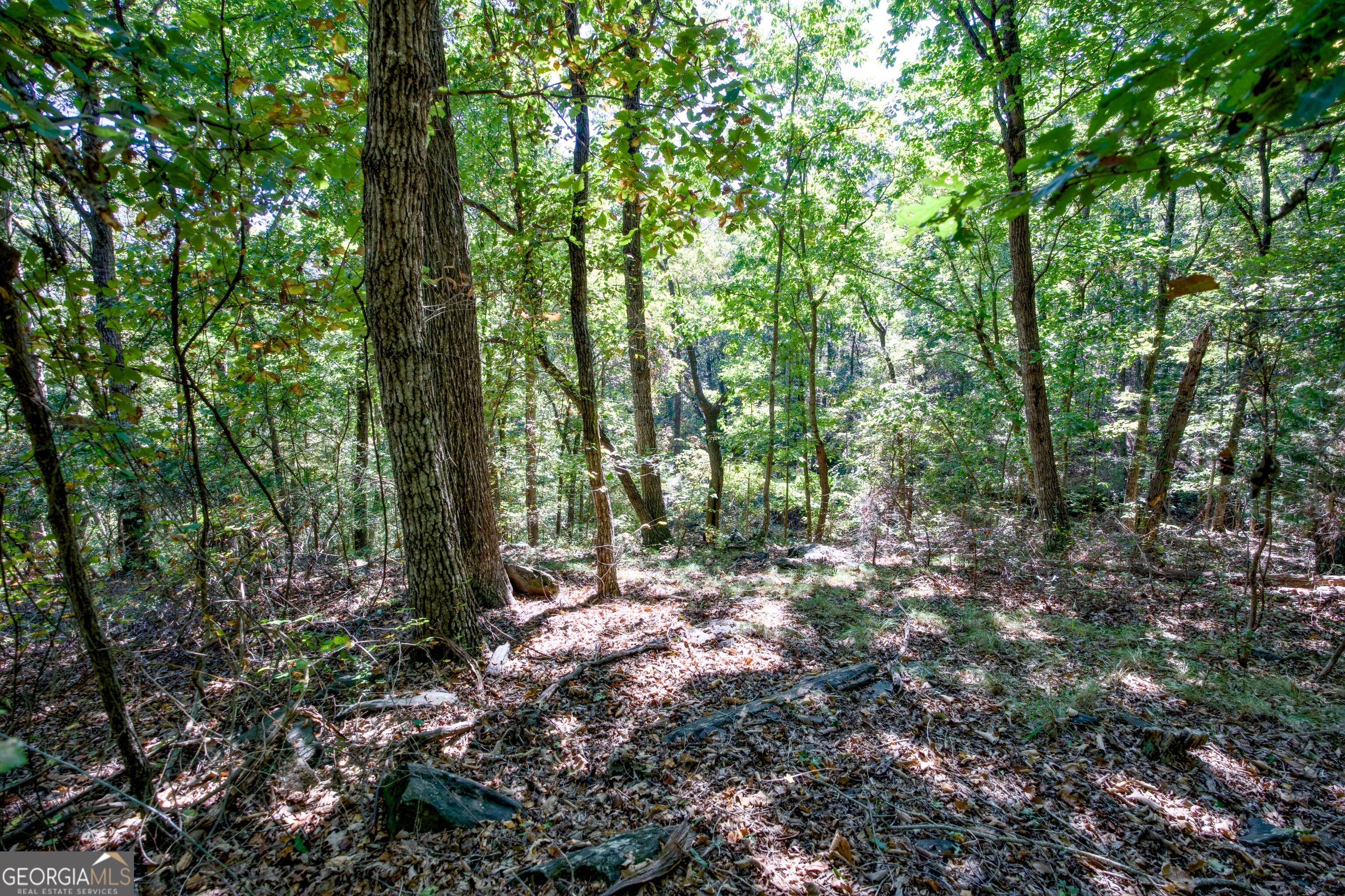 52 Ac Soapstone Road Baldwin GA 30511