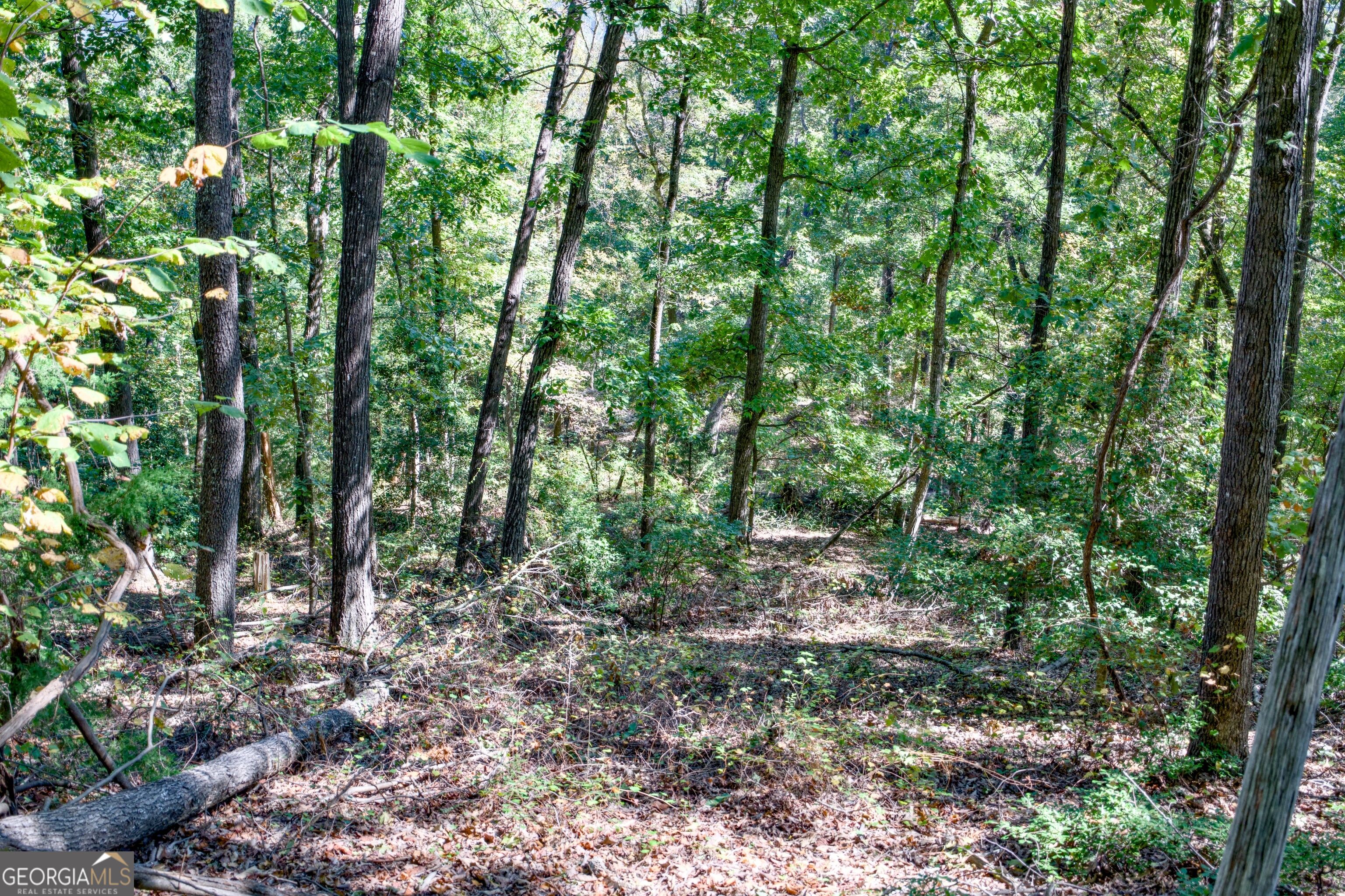 52 Ac Soapstone Road Baldwin GA 30511