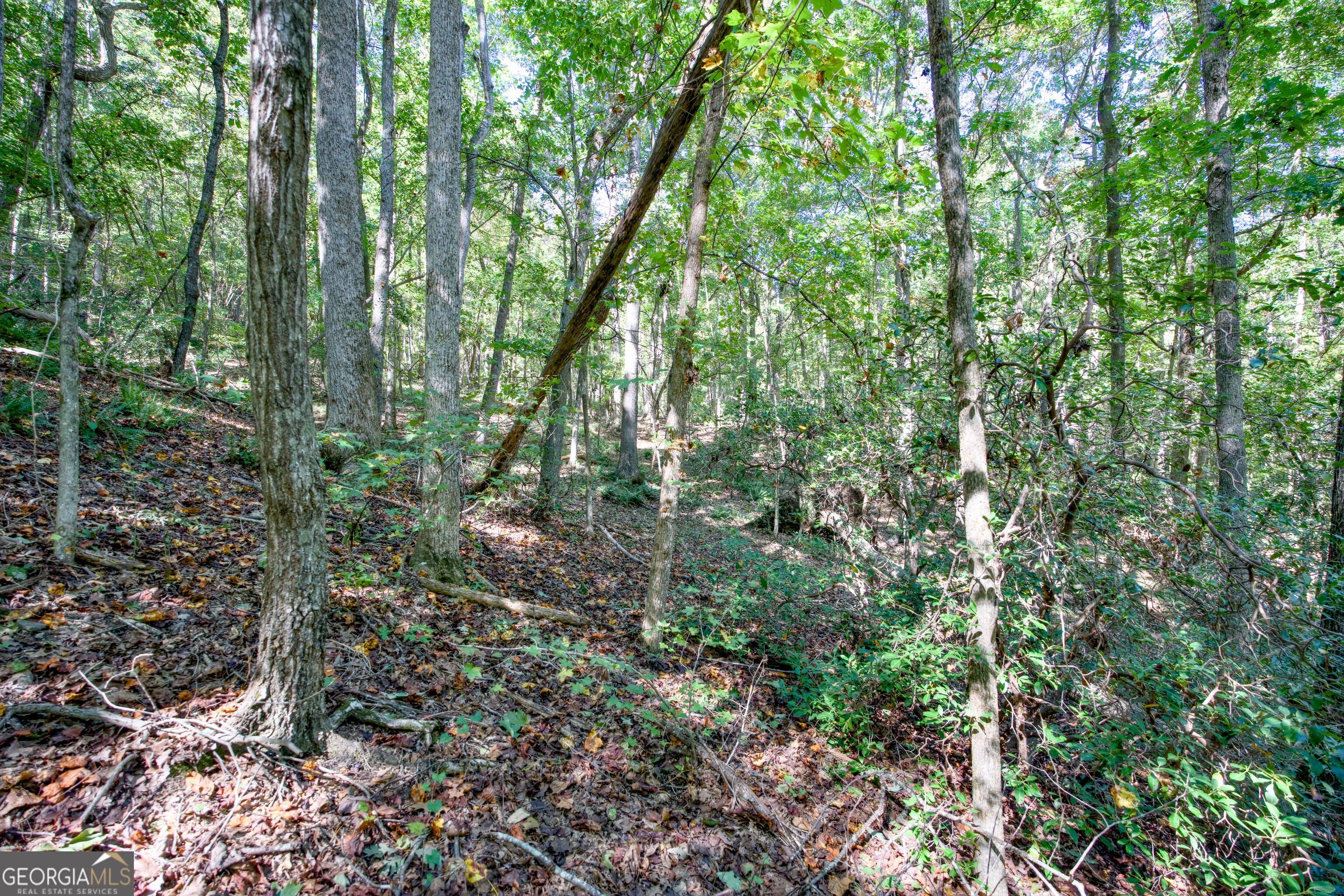 52 Ac Soapstone Road Baldwin GA 30511