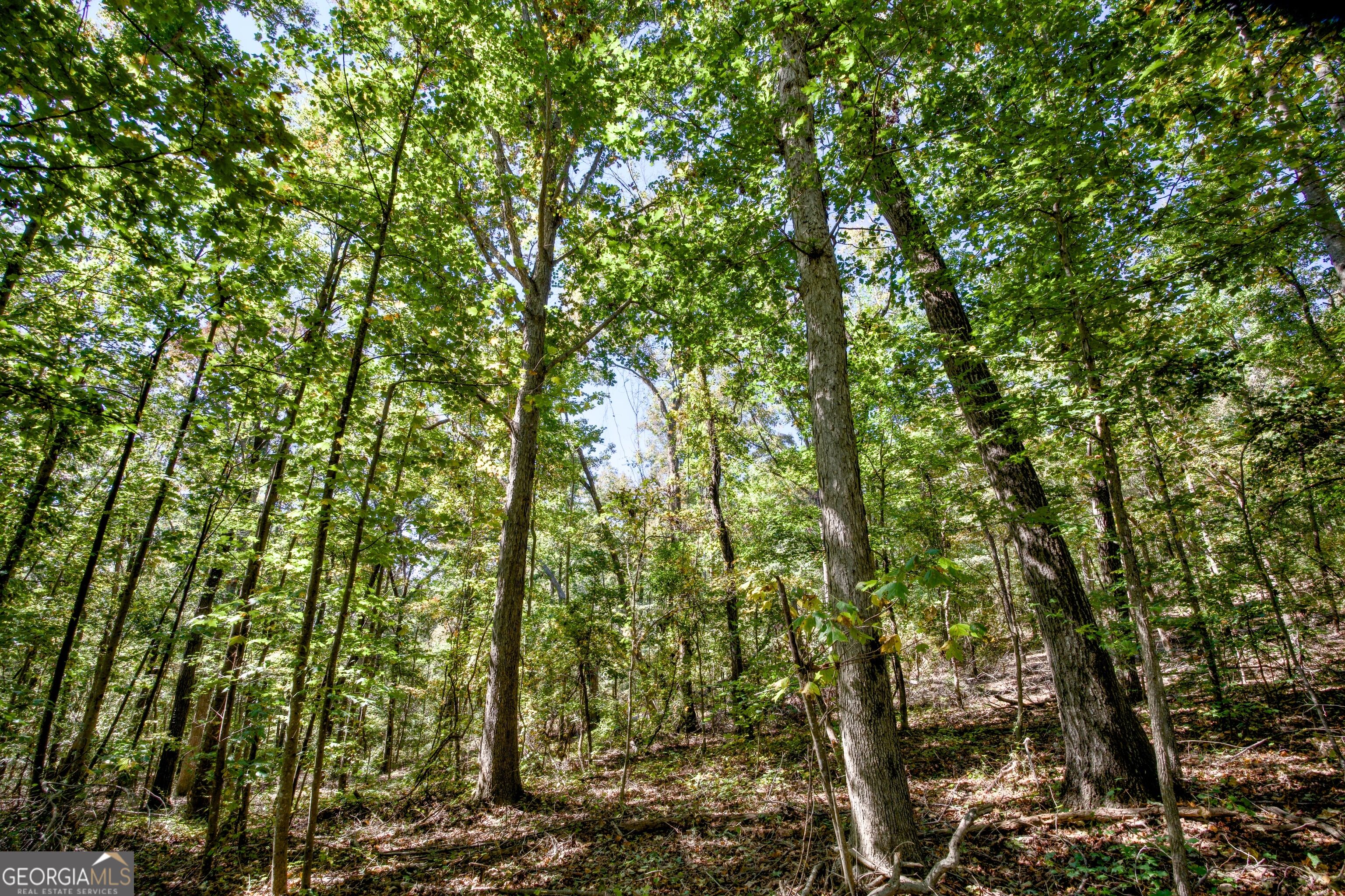 52 Ac Soapstone Road Baldwin GA 30511