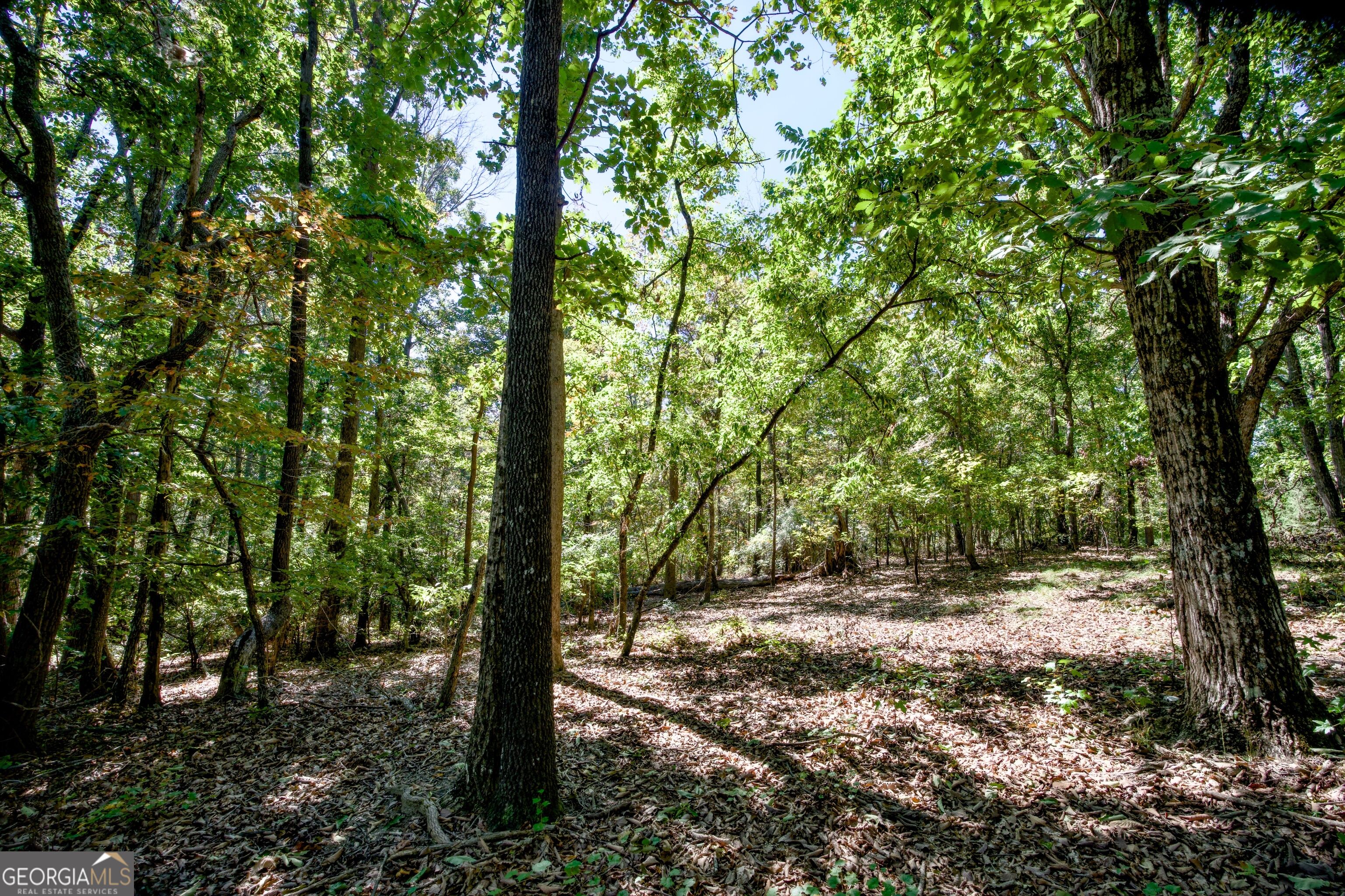 52 Ac Soapstone Road Baldwin GA 30511