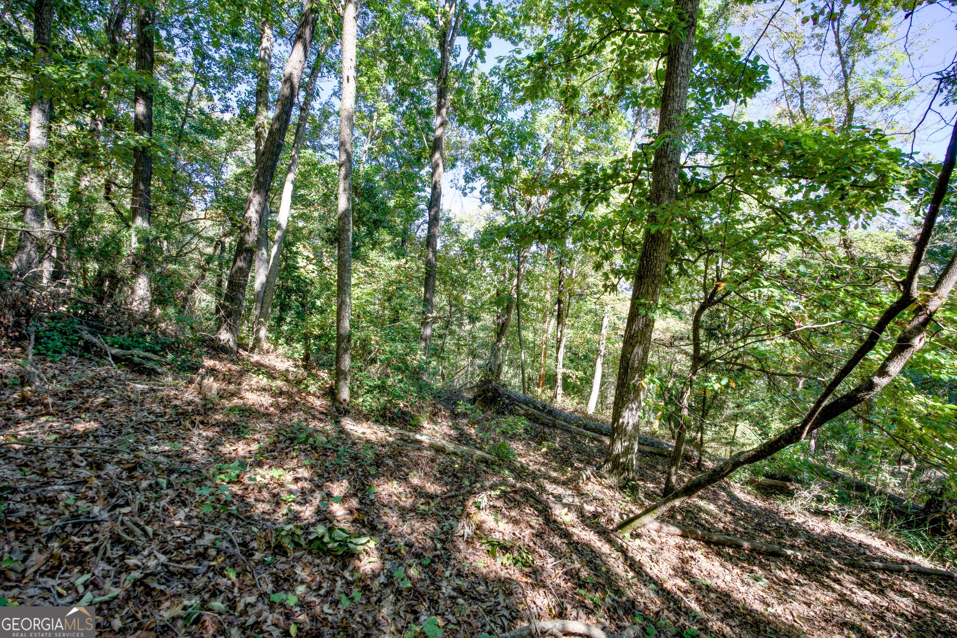 52 Ac Soapstone Road Baldwin GA 30511