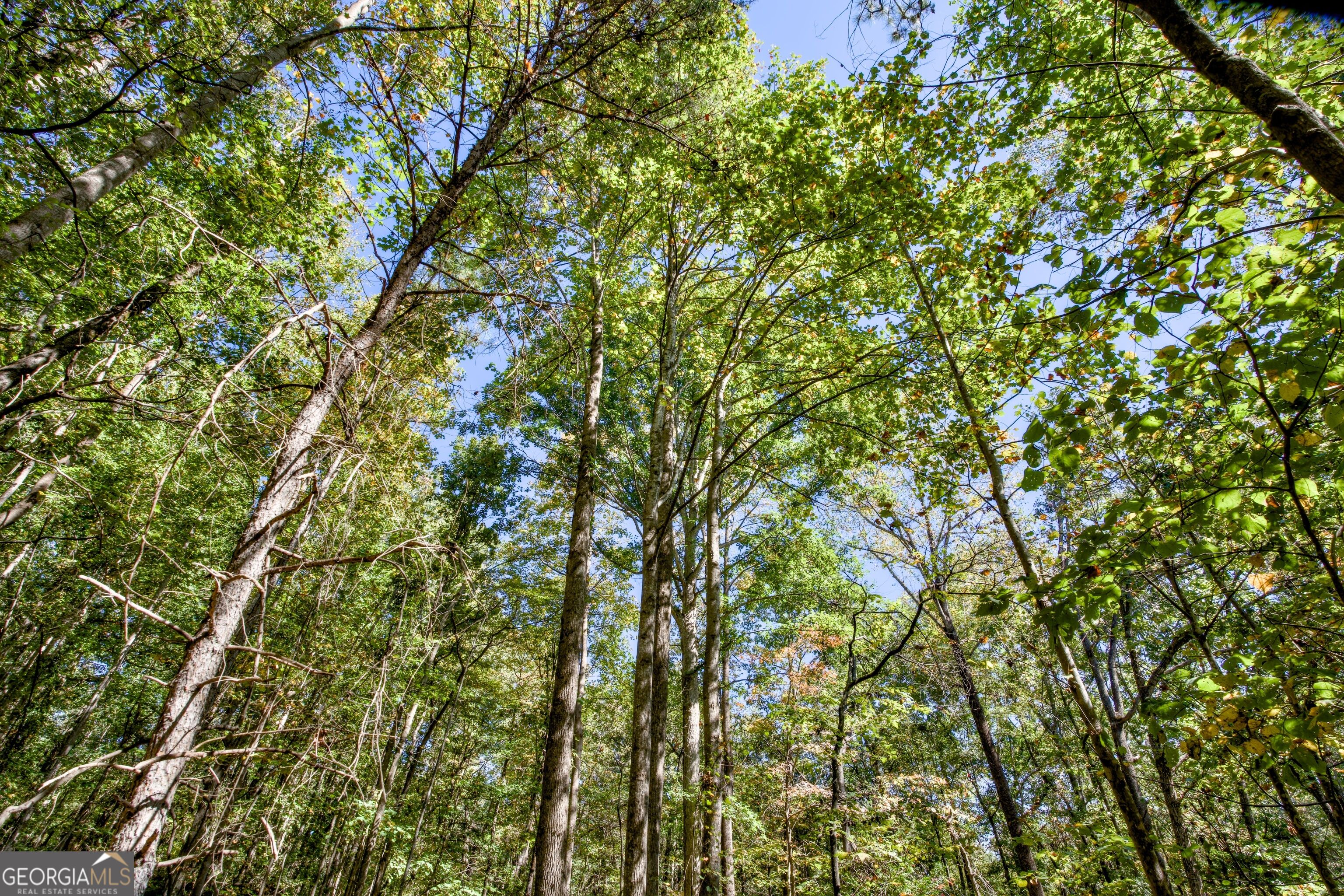 52 Ac Soapstone Road Baldwin GA 30511