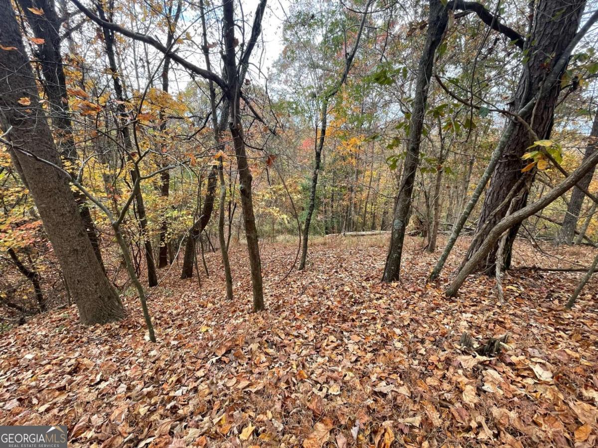 Lot 468 Cherokee Court Ellijay GA 30540