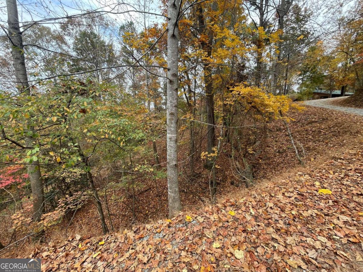 Lot 468 Cherokee Court Ellijay GA 30540