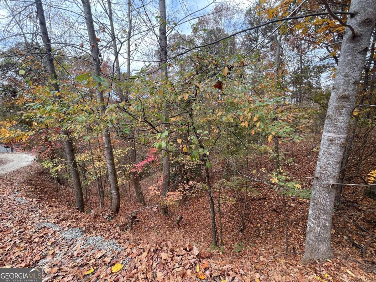 Lot 468 Cherokee Court Ellijay GA 30540