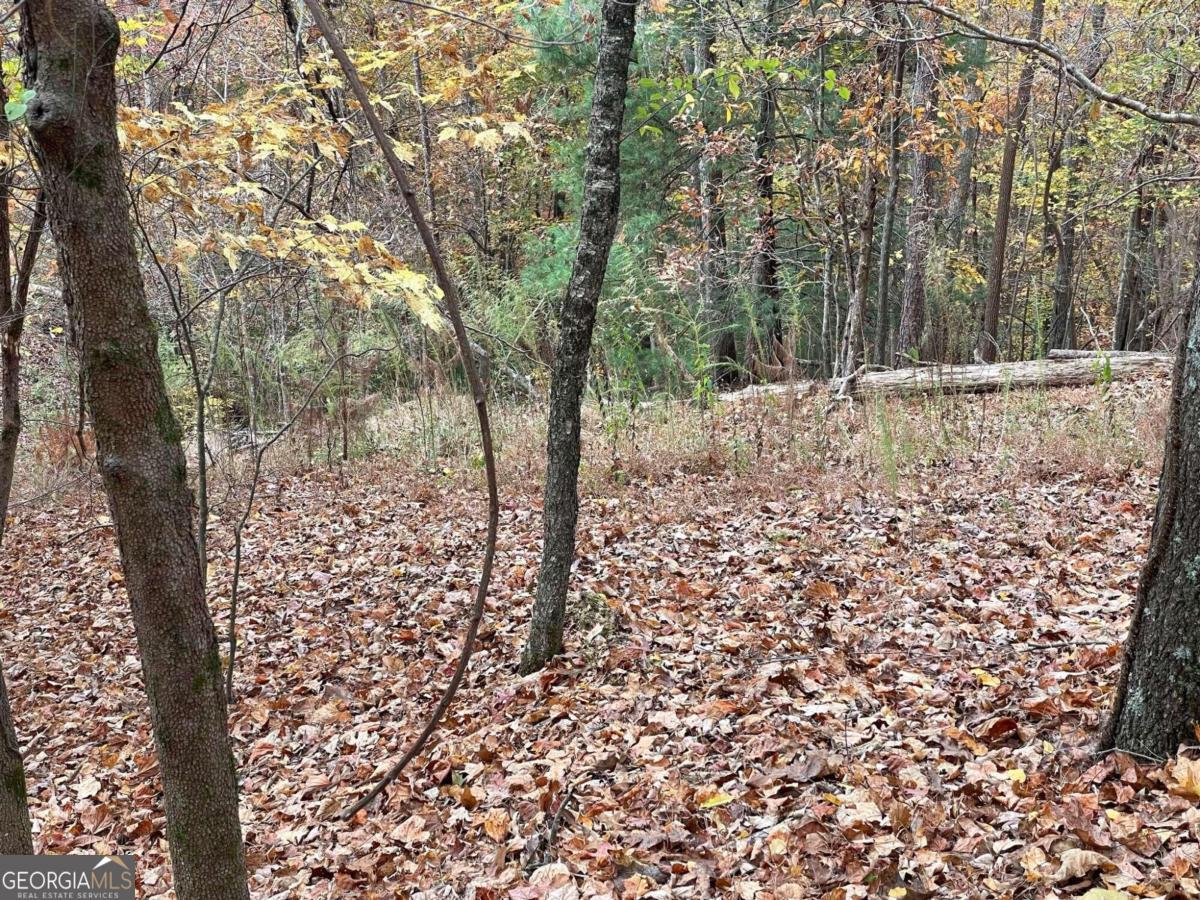 Lot 468 Cherokee Court Ellijay GA 30540