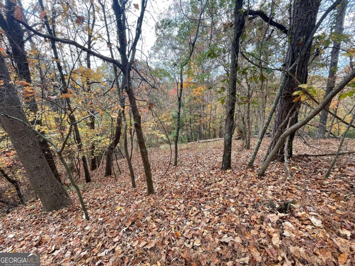 Lot 468 Cherokee Court Ellijay GA 30540
